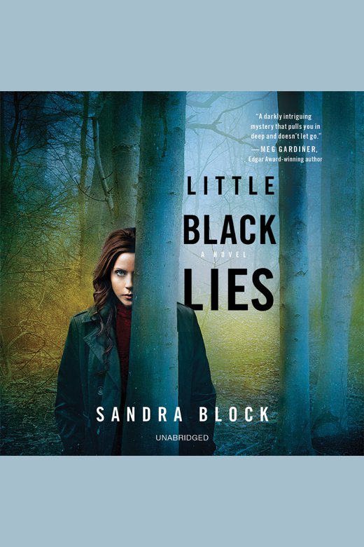 Cover image for Little Black Lies [electronic resource] :