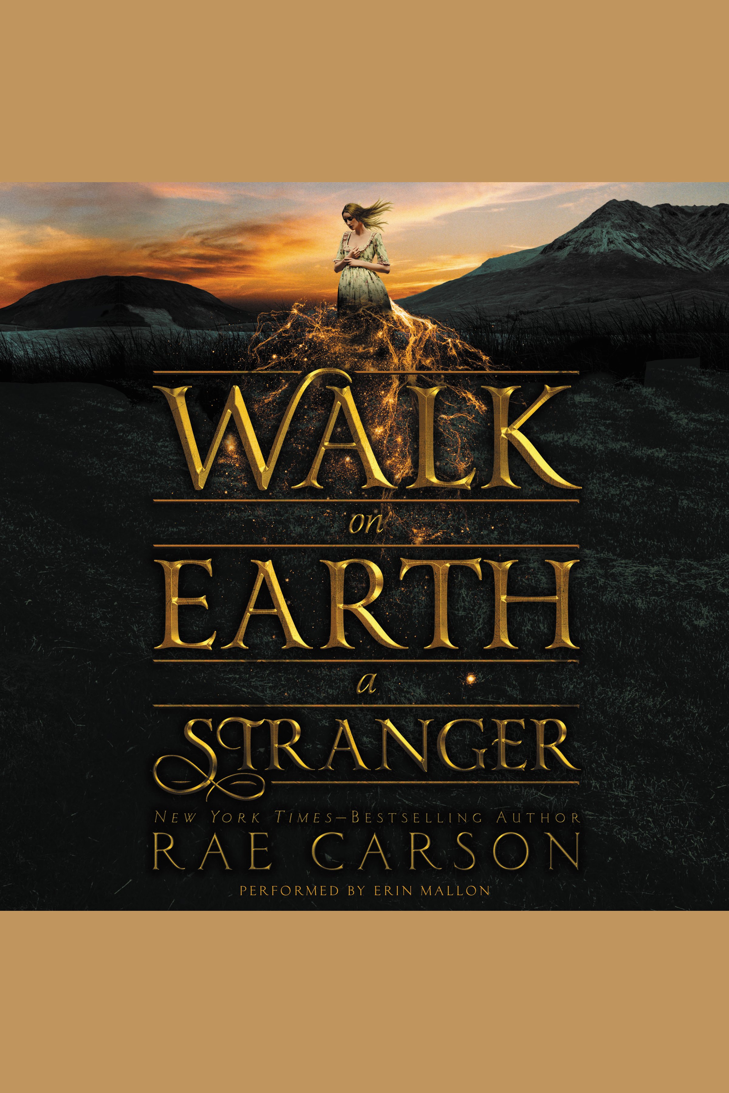 Umschlagbild für Walk on Earth a Stranger [electronic resource] :