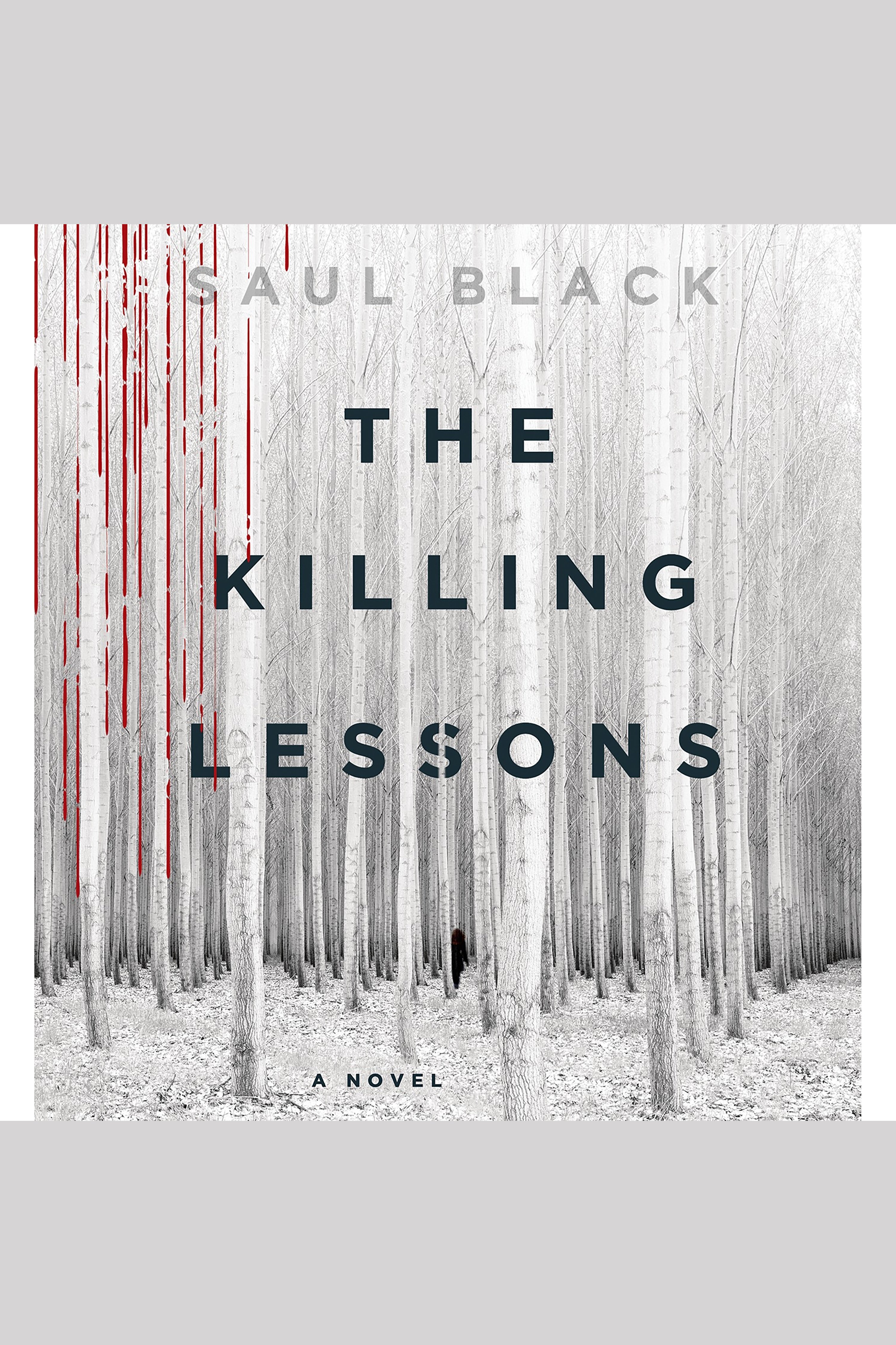 Cover image for The Killing Lessons [electronic resource] :