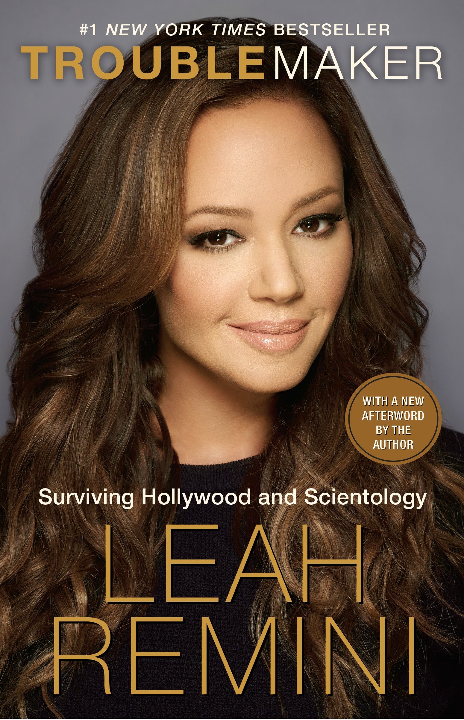 Cover image for Troublemaker [electronic resource] : Surviving Hollywood and Scientology