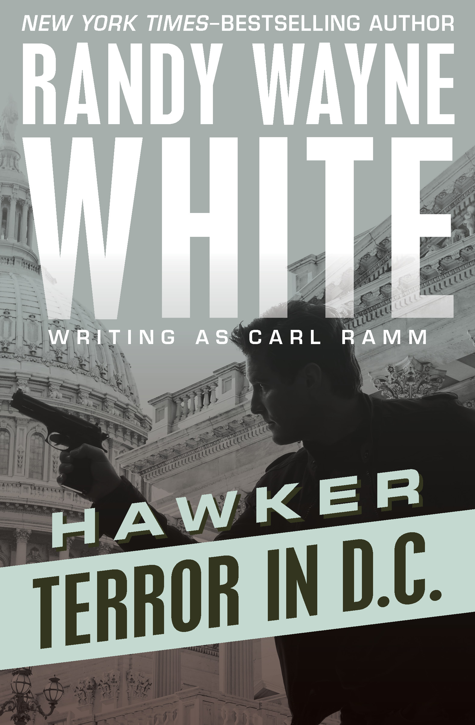 Cover image for Terror in D.C. [electronic resource] :