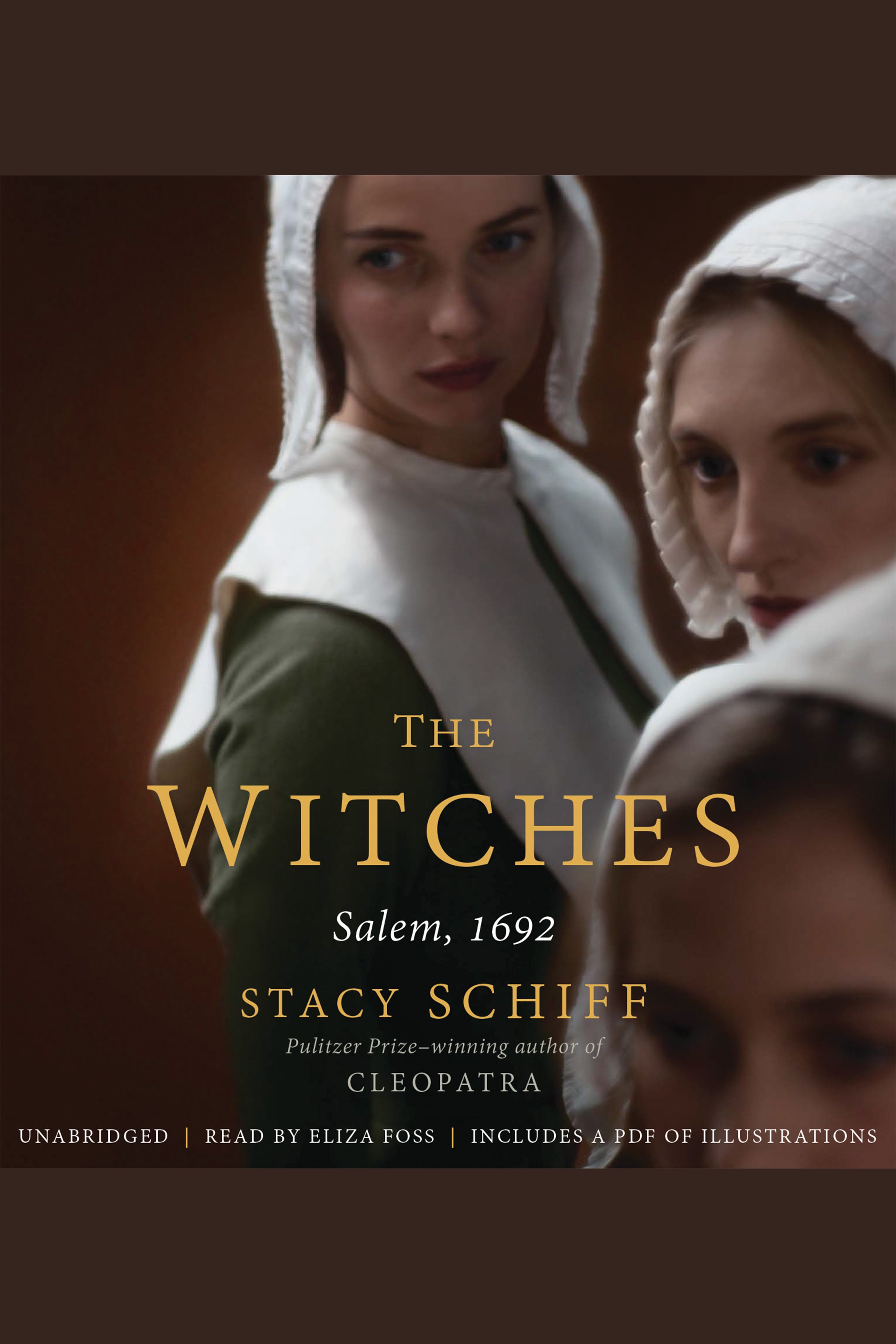 Cover image for Witches, The [electronic resource] : Salem, 1692