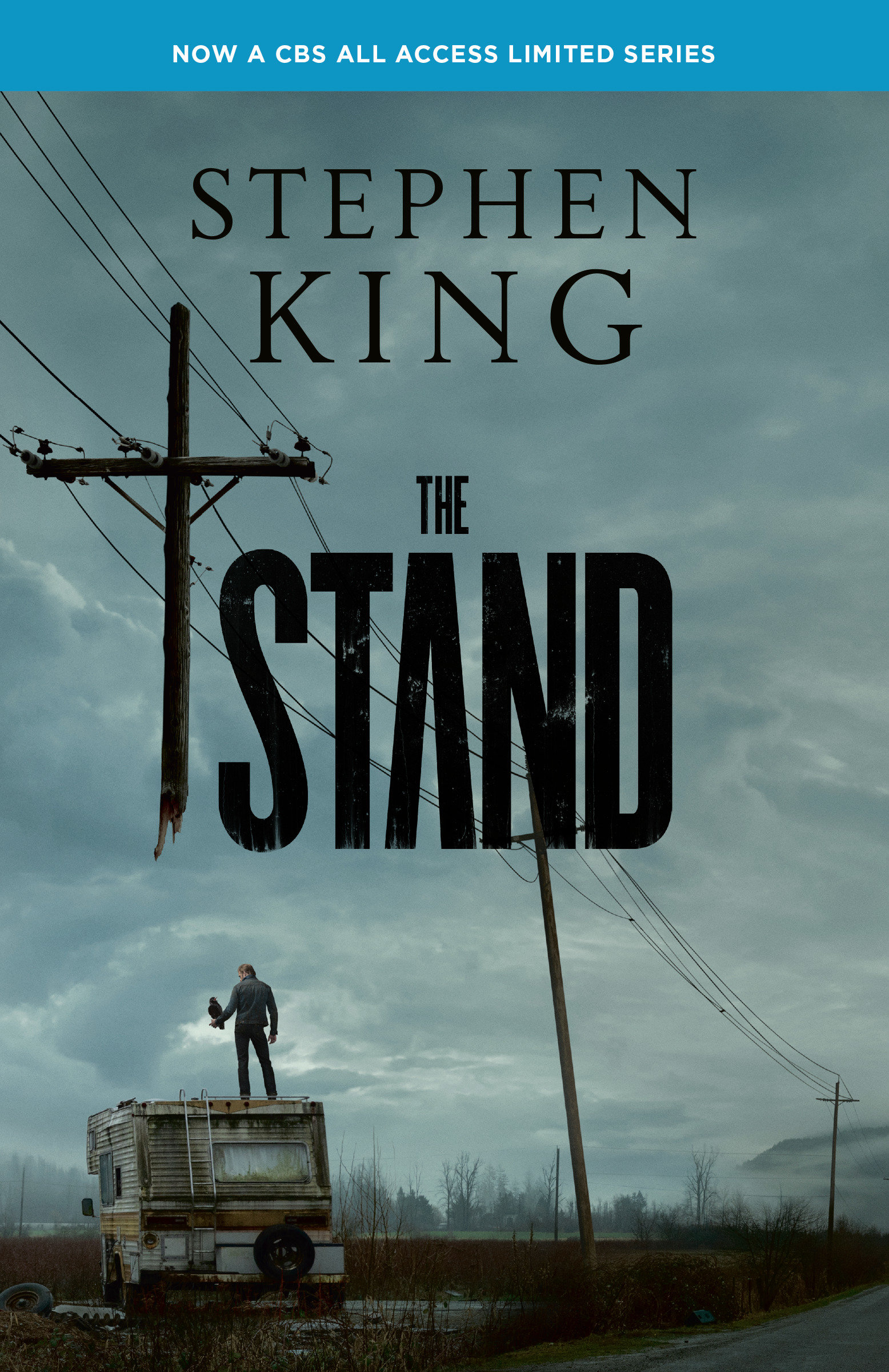 Cover image for The Stand [electronic resource] :