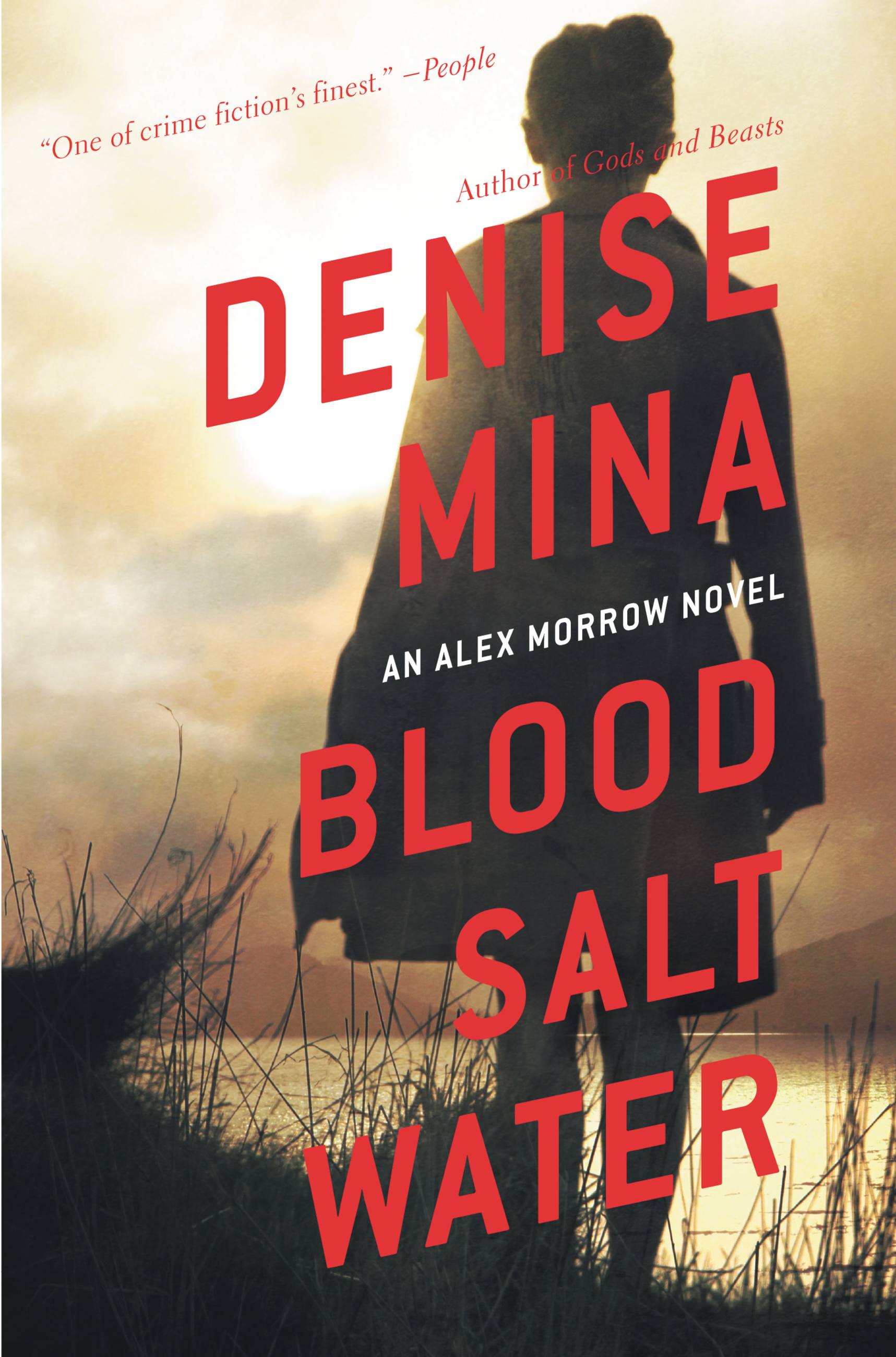 Umschlagbild für Blood, Salt, Water [electronic resource] : An Alex Morrow Novel