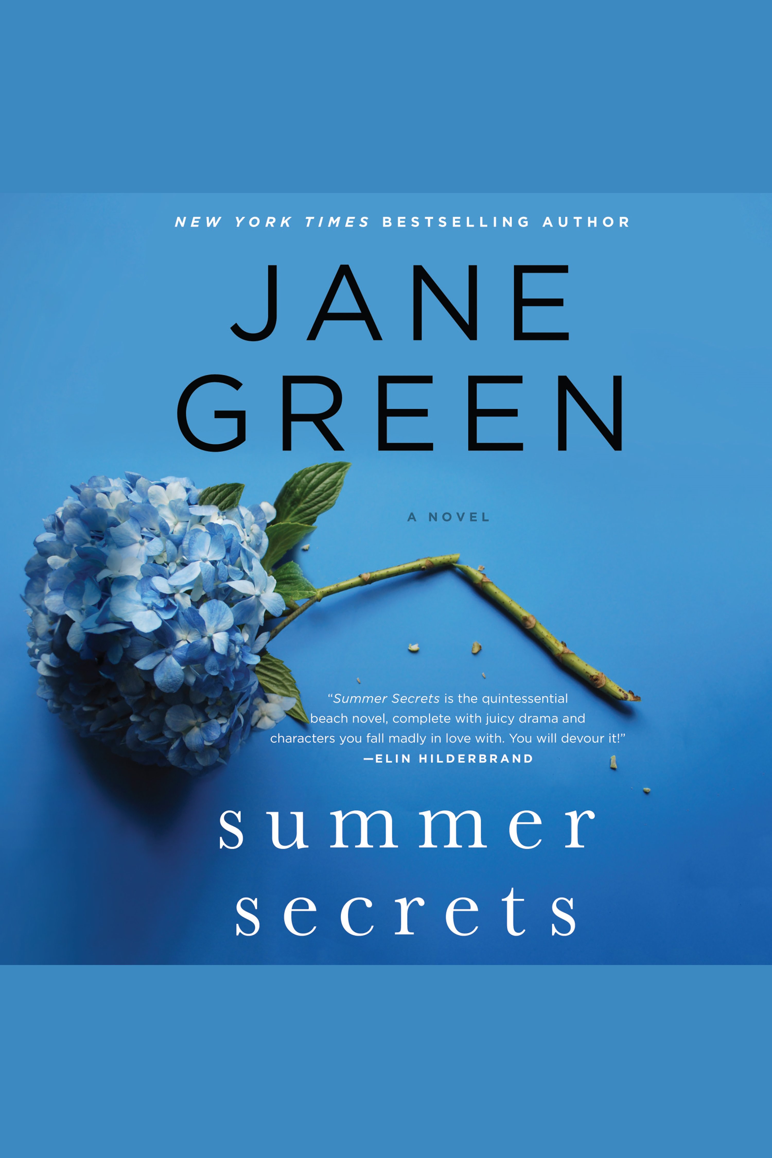 Cover image for Summer Secrets [electronic resource] : A Novel
