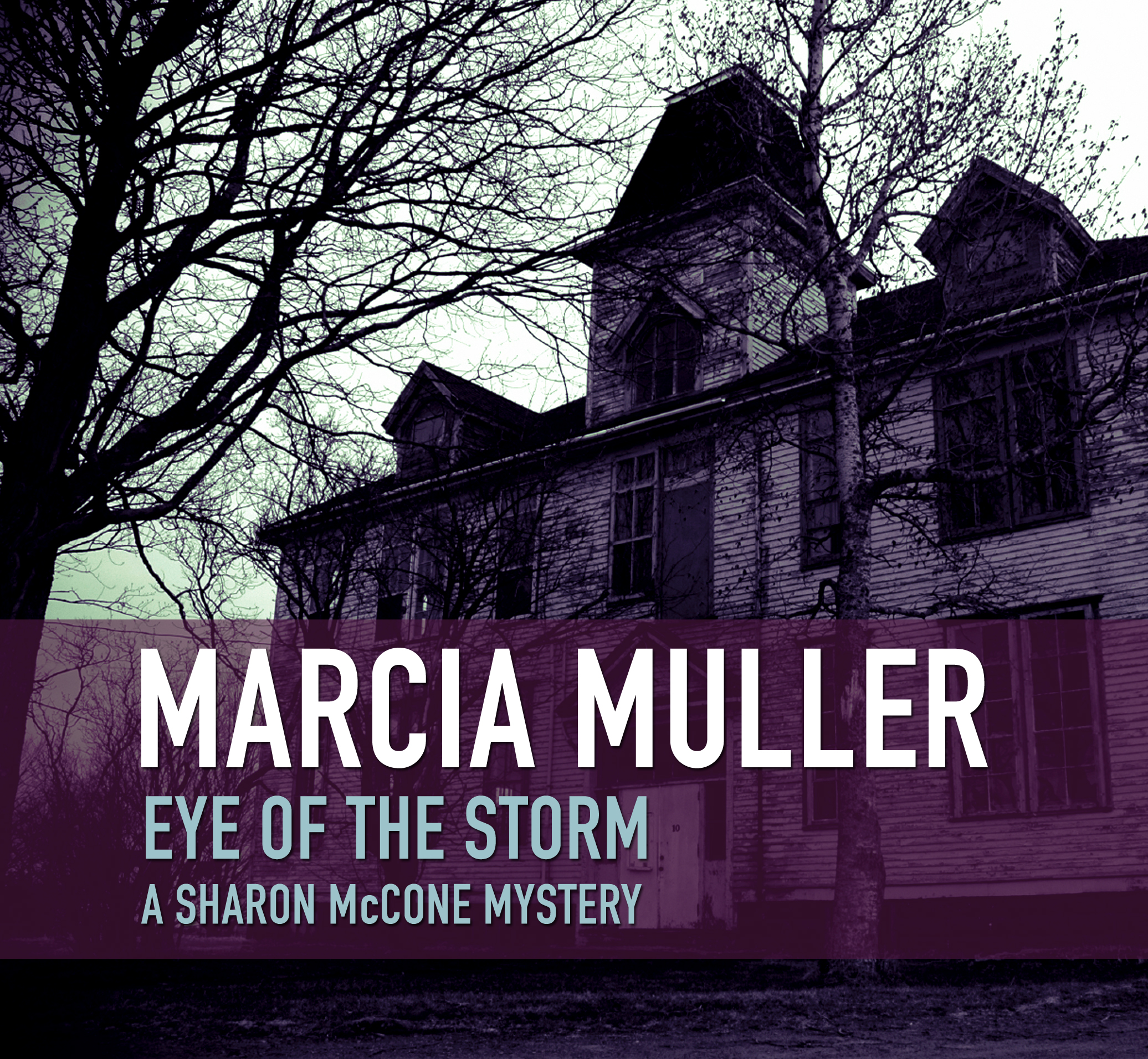Cover image for Eye of the Storm [electronic resource] :