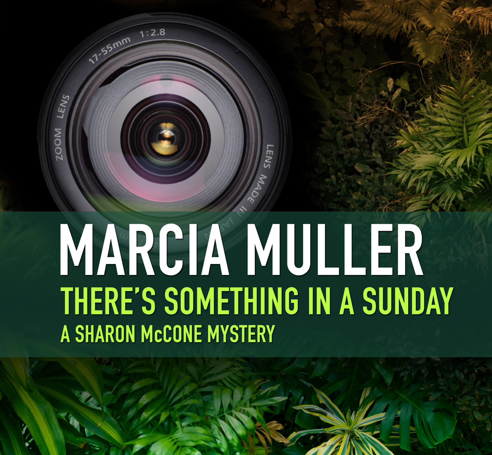 Image de couverture de There’s Something in a Sunday [electronic resource] :