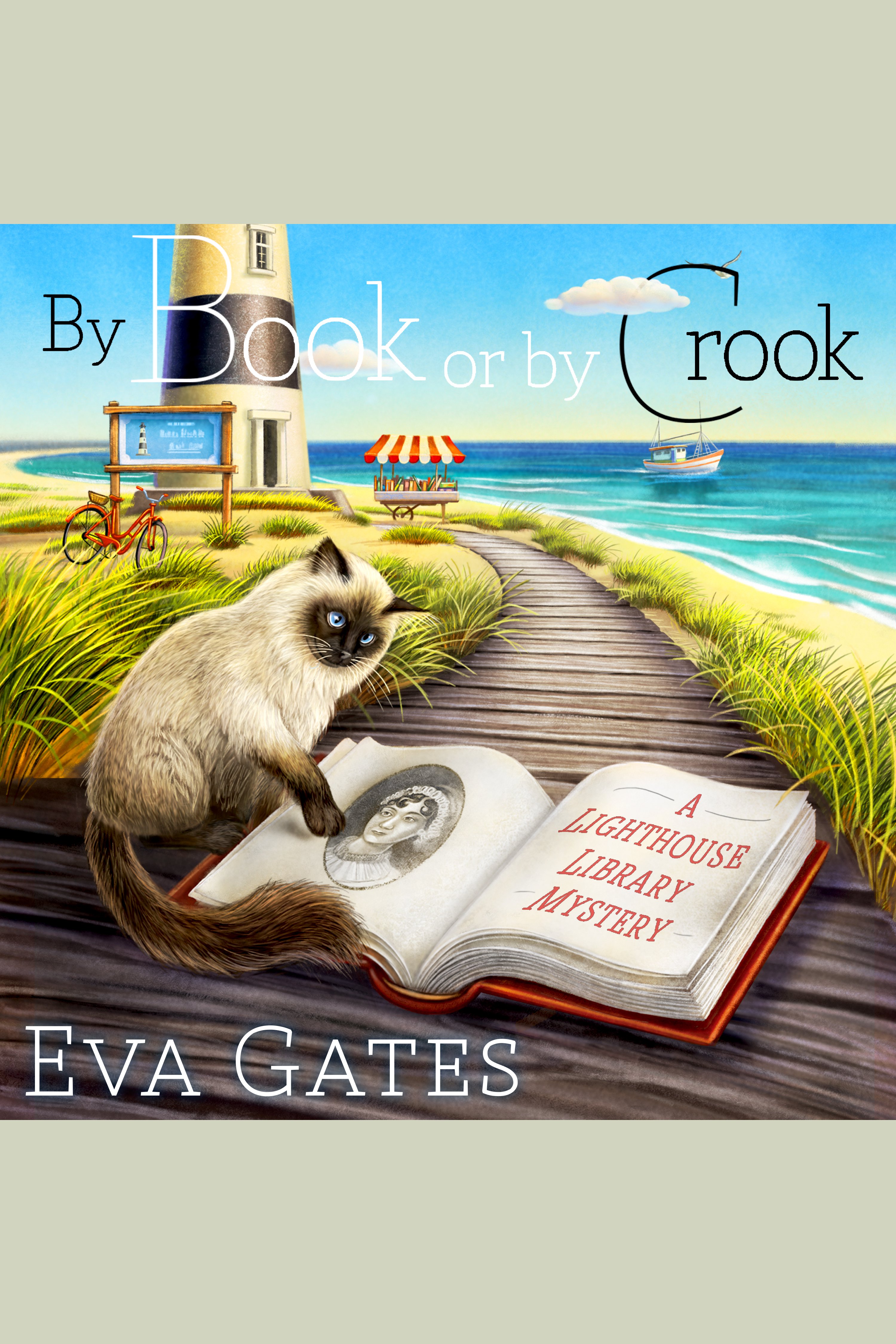 Cover image for By Book or by Crook [electronic resource] :