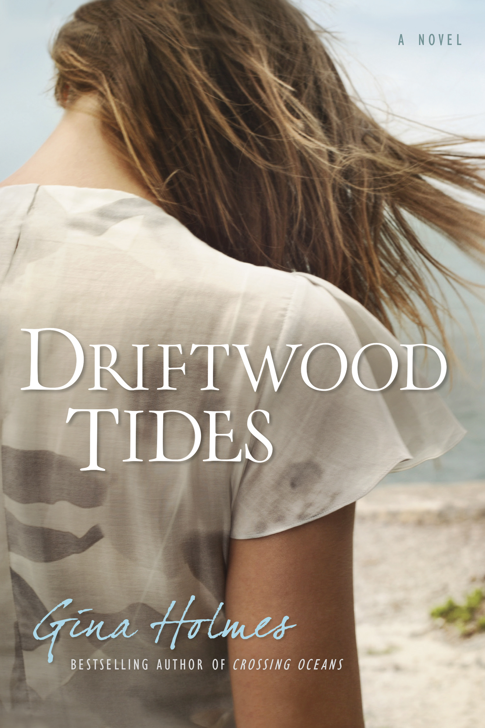 Cover image for Driftwood Tides [electronic resource] :
