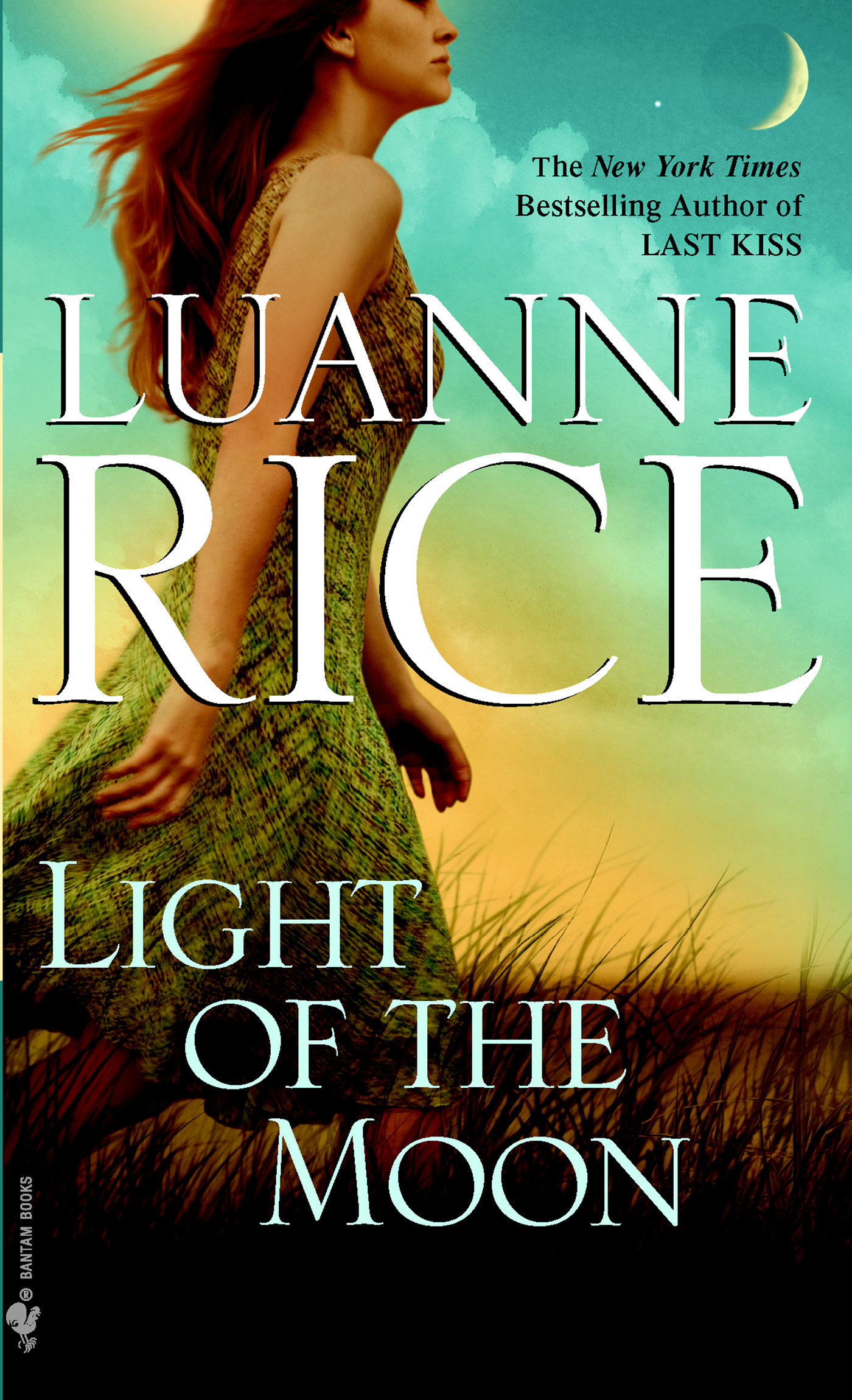 Cover image for Light of the Moon [electronic resource] :