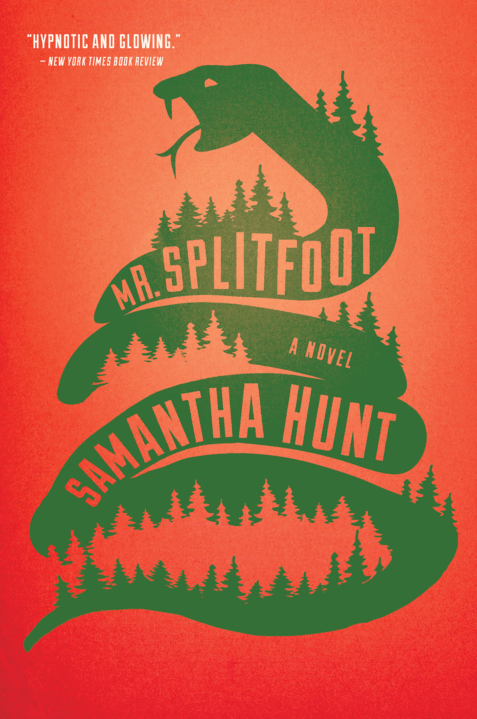Imagen de portada para Mr. Splitfoot [electronic resource] : A Novel