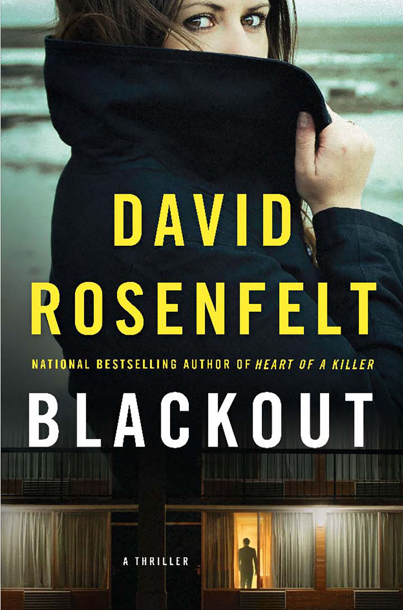 Cover image for Blackout [electronic resource] : A Doug Brock Thriller