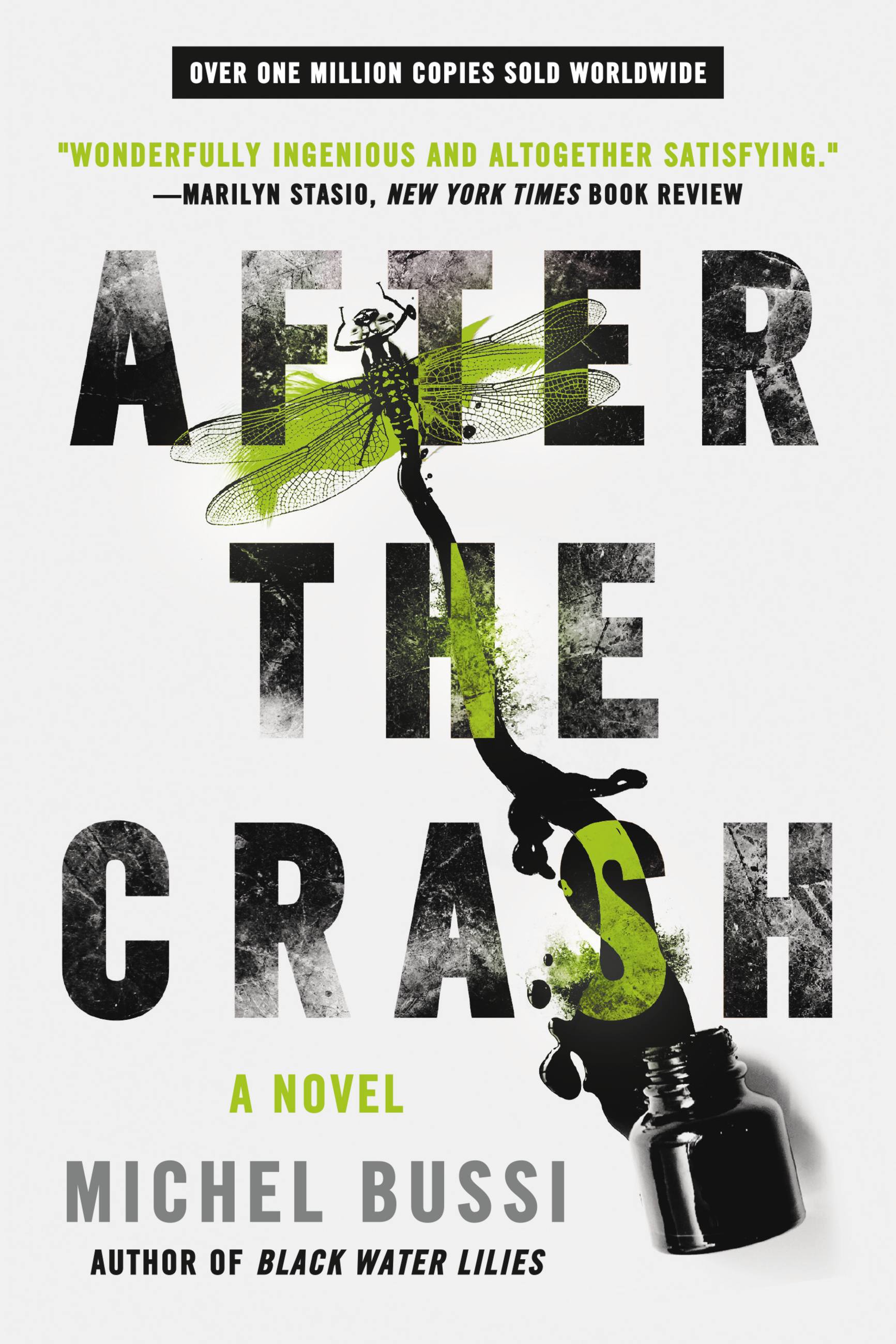 Cover image for After the Crash [electronic resource] : A Novel