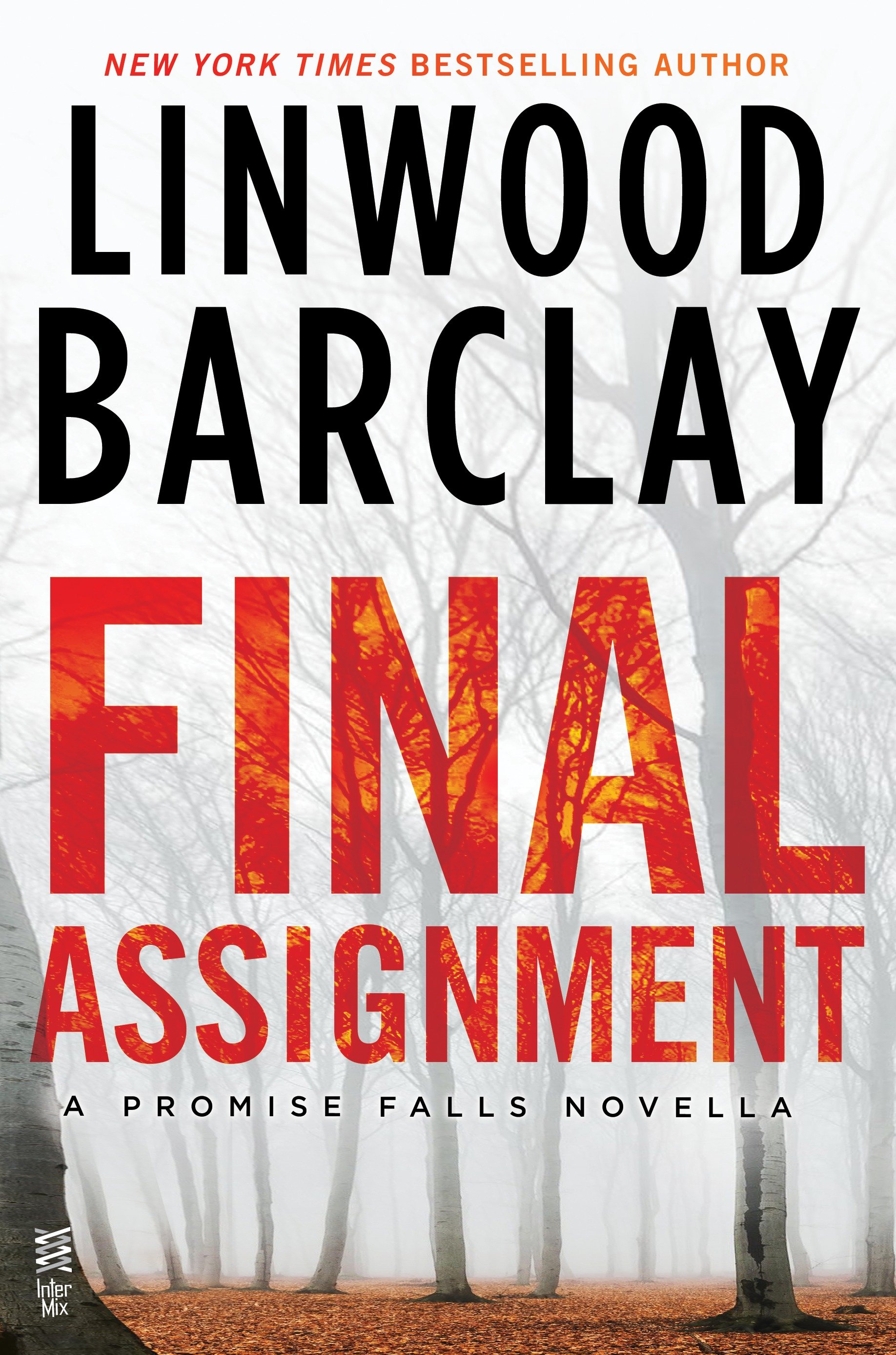 Cover image for Final Assignment [electronic resource] :