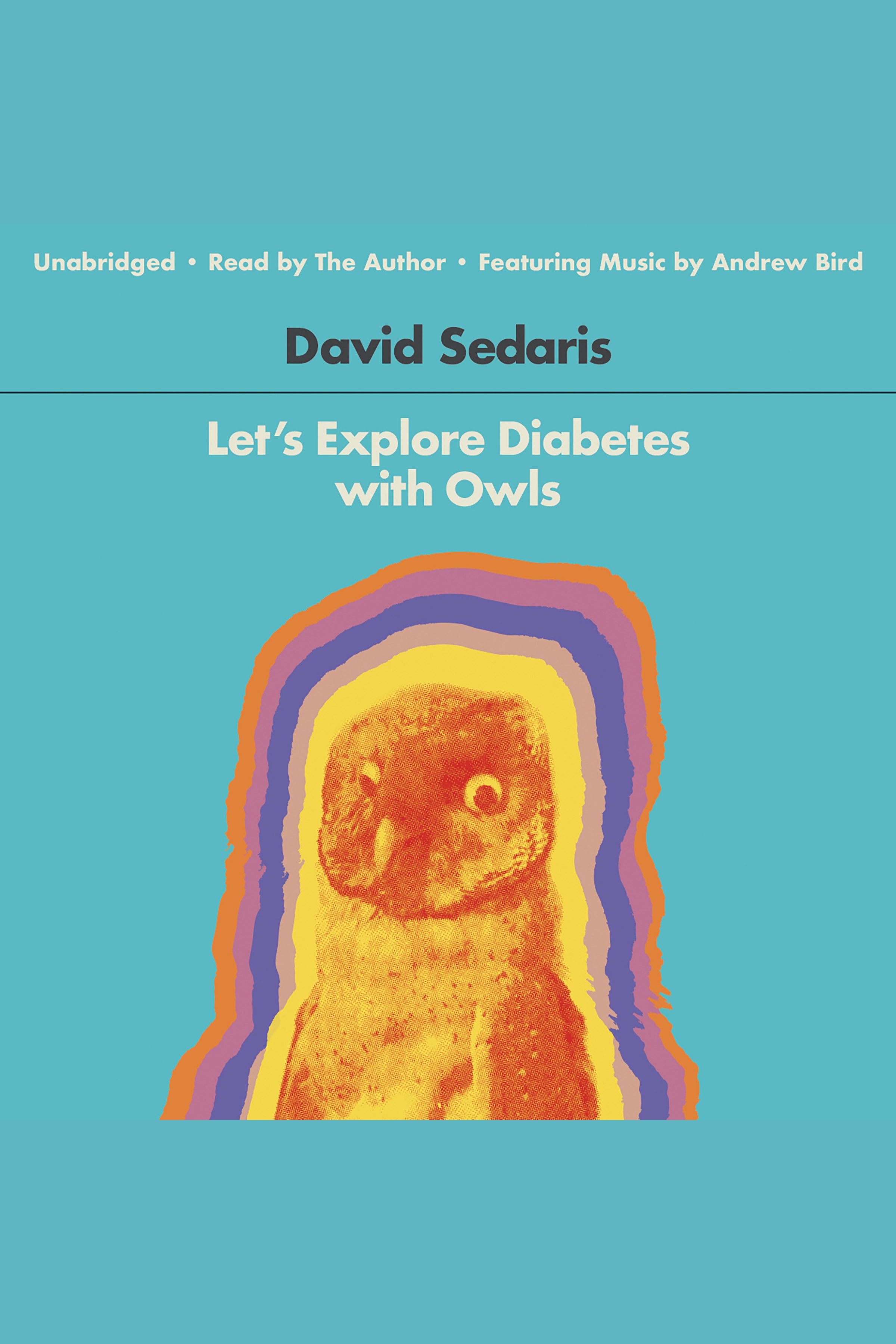 Cover image for Let's Explore Diabetes with Owls [electronic resource] :