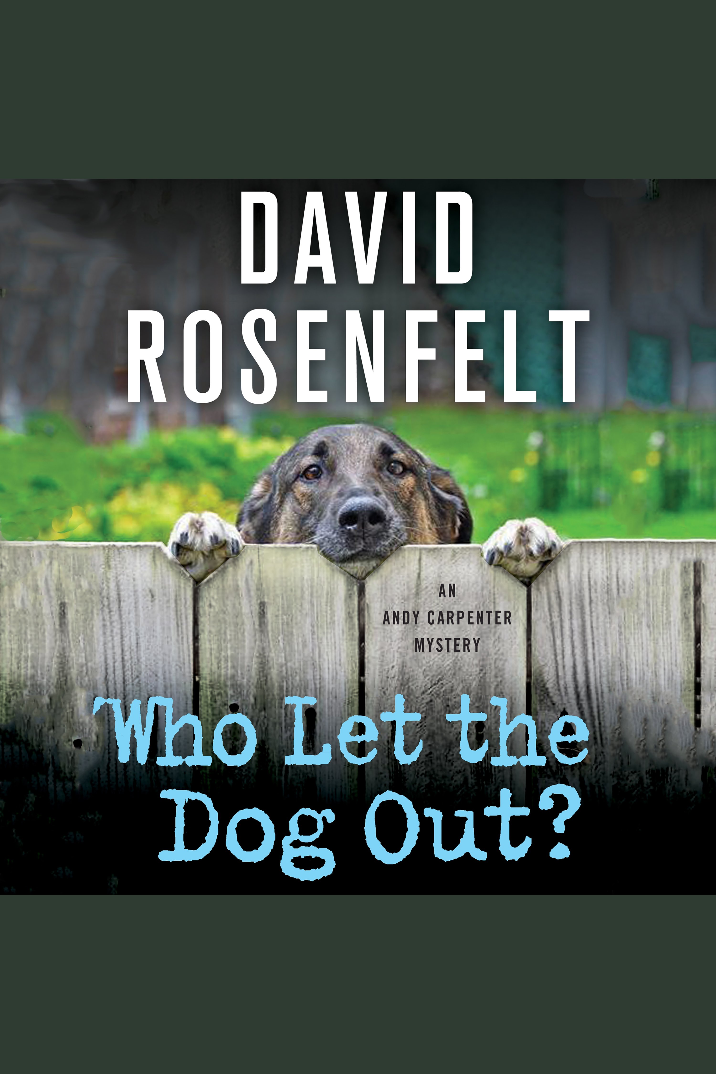 Imagen de portada para Who Let the Dog Out? [electronic resource] : An Andy Carpenter Mystery