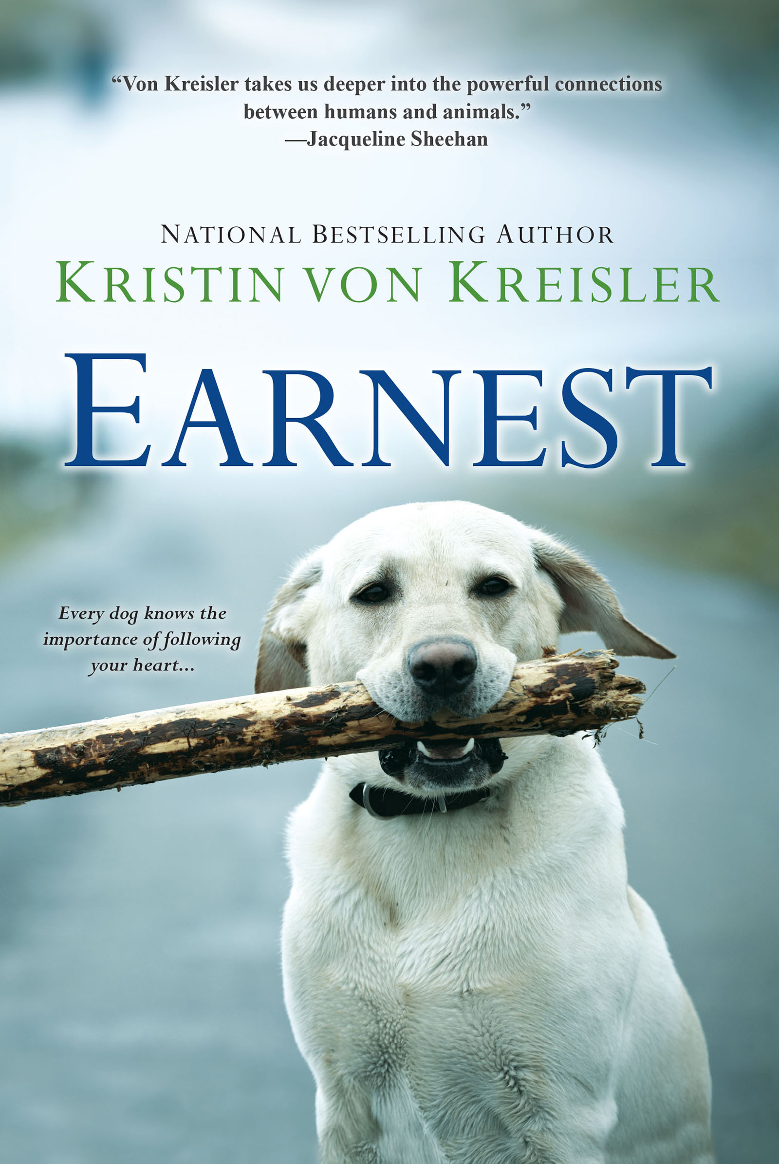Cover image for Earnest [electronic resource] :