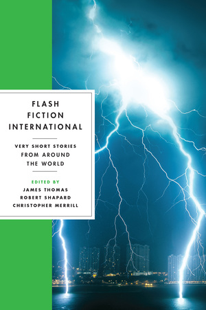 Cover image for Flash Fiction International: Very Short Stories from Around the World [electronic resource] :