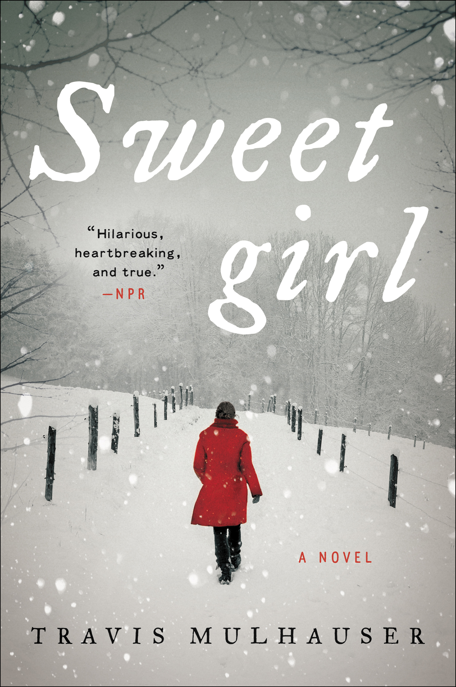 Cover image for Sweetgirl [electronic resource] : A Novel