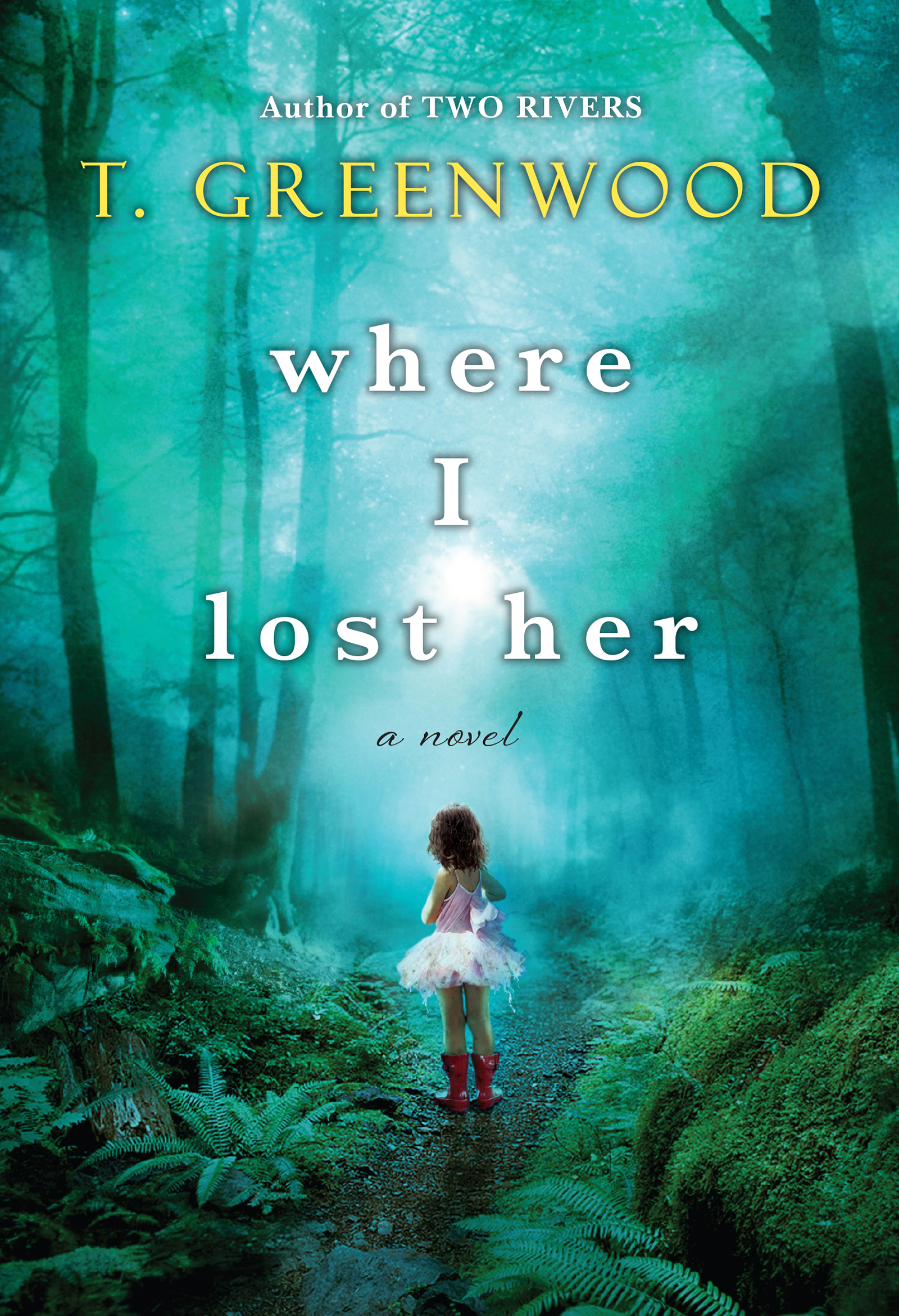 Cover image for Where I Lost Her [electronic resource] :
