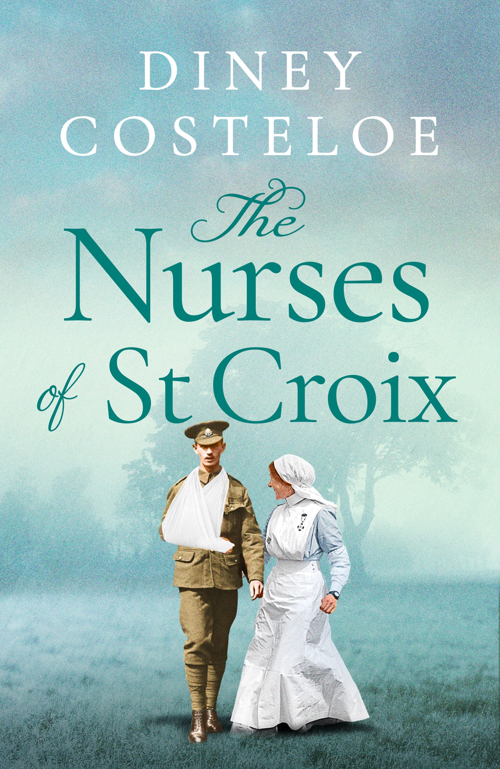 Umschlagbild für The Nurses of St Croix [electronic resource] :