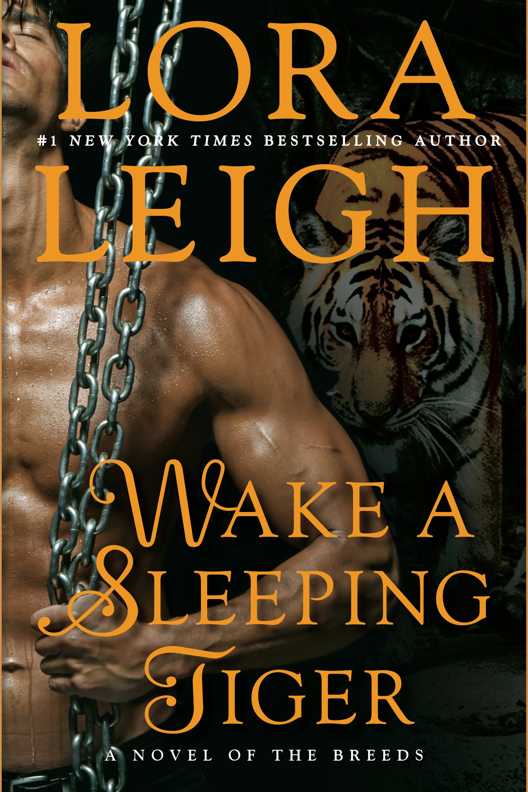 Cover image for Wake A Sleeping Tiger [electronic resource] :