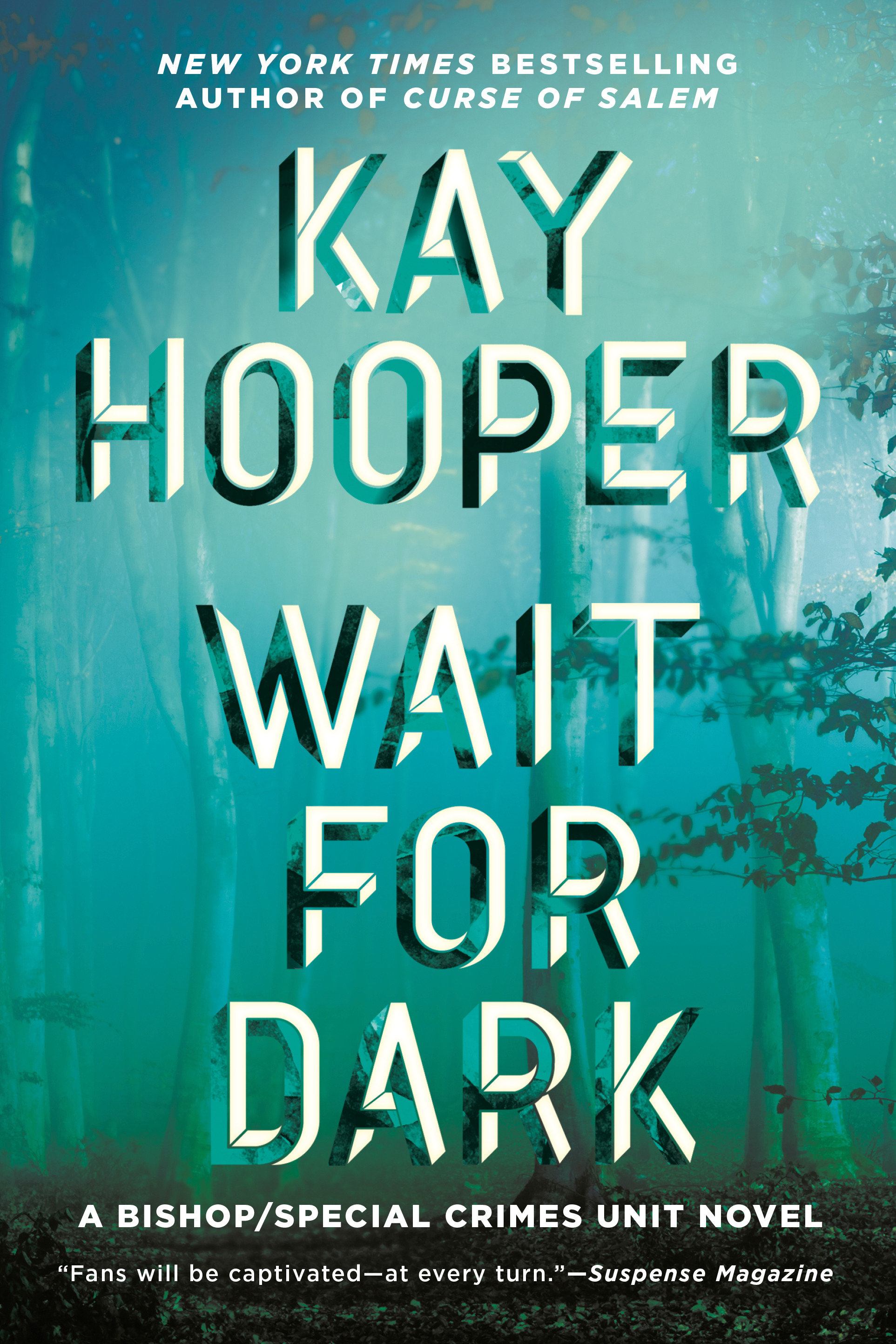 Cover image for Wait for Dark [electronic resource] :