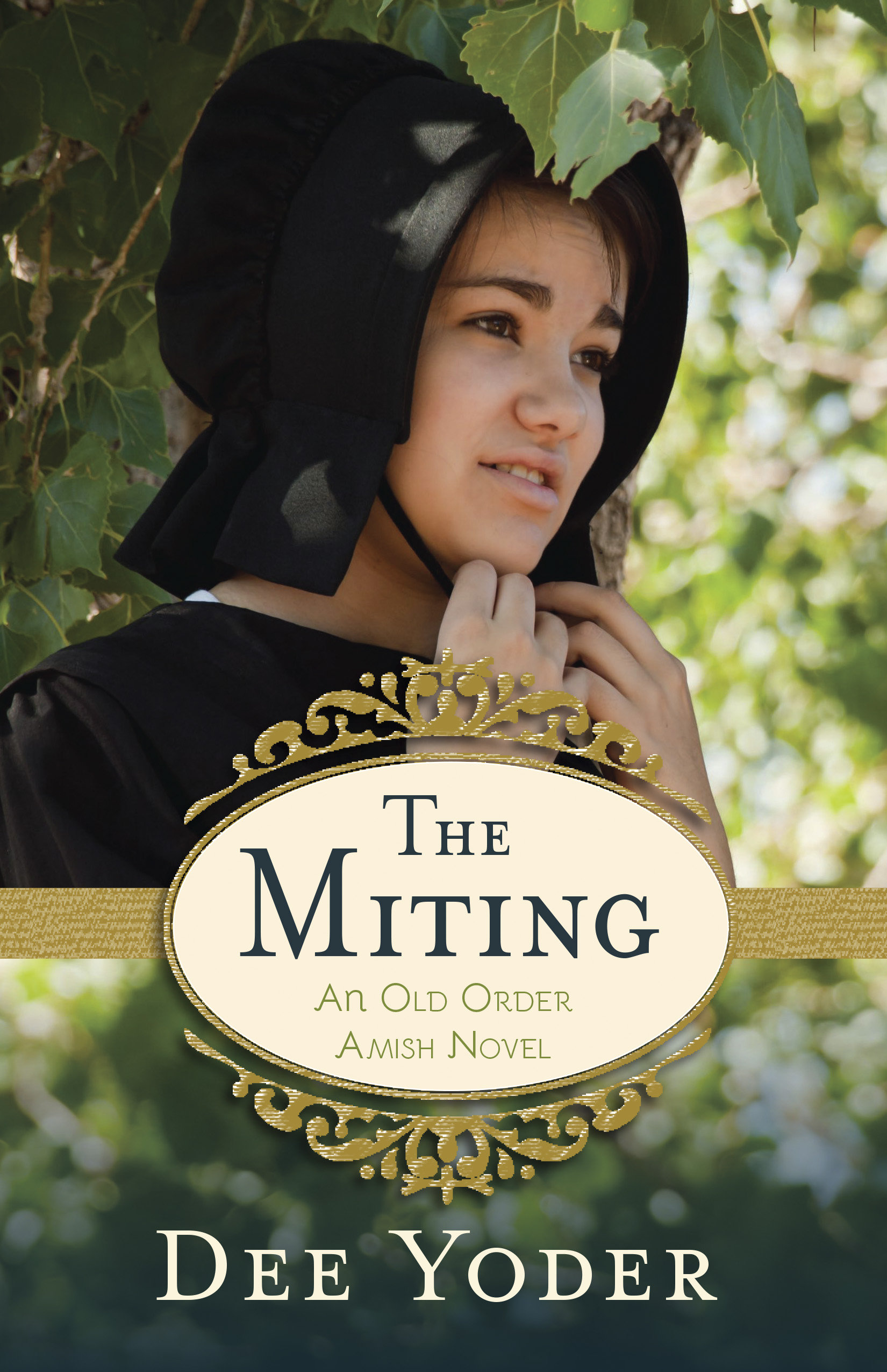 Imagen de portada para The Miting [electronic resource] : An Old Order Amish Novel