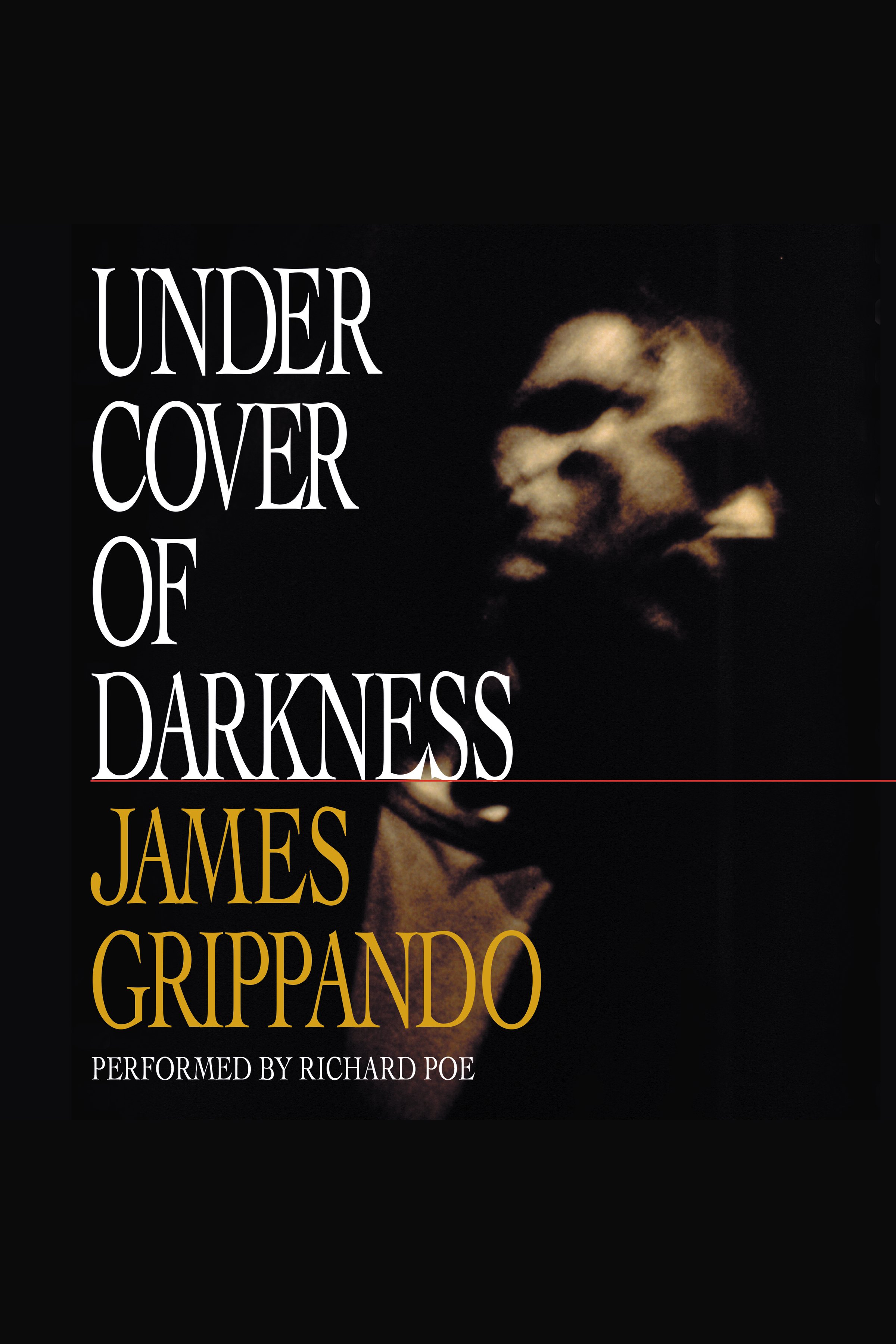 Image de couverture de Under Cover of Darkness [electronic resource] :