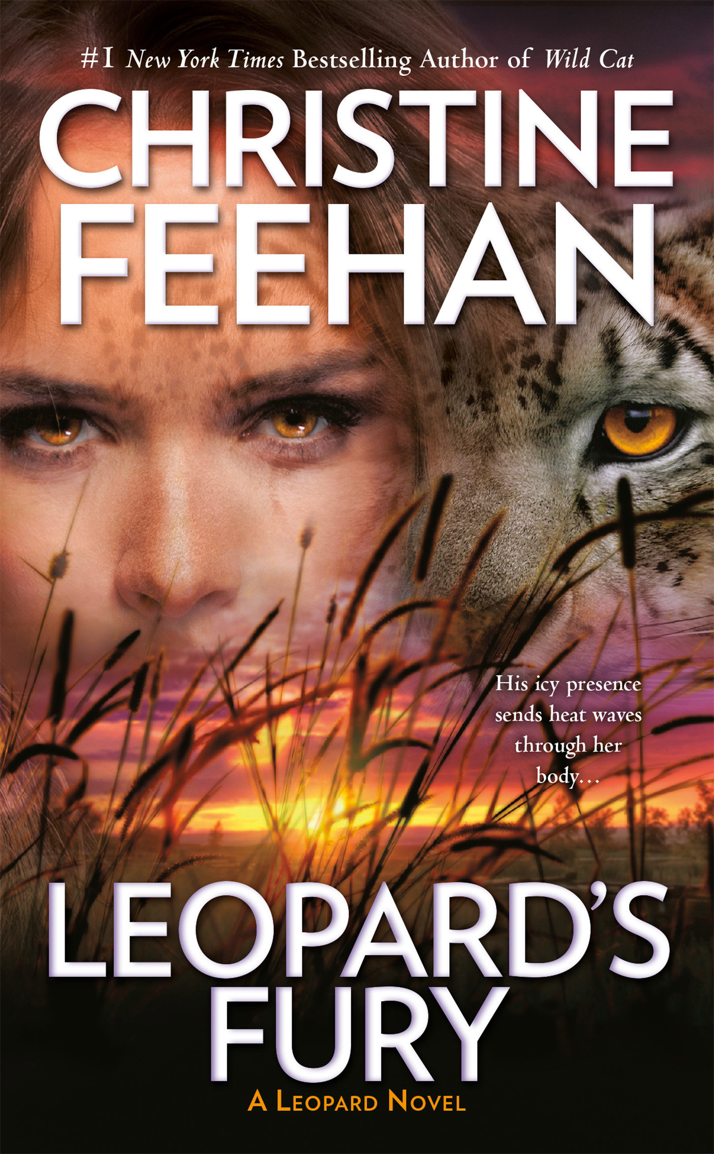 Leopard's fury cover image