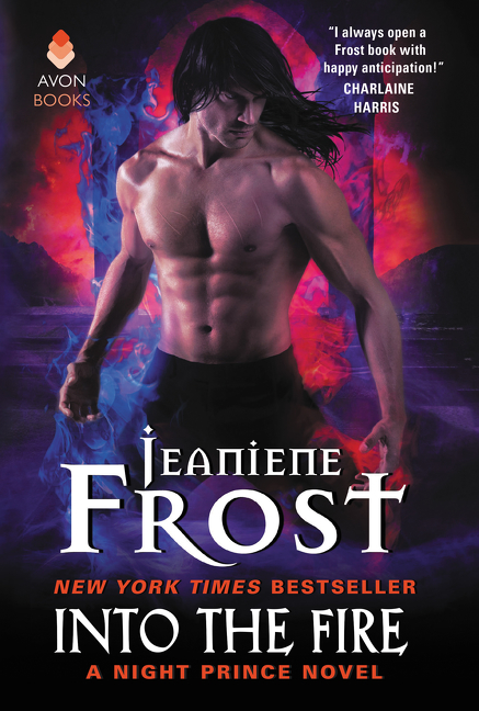Image de couverture de Into the Fire [electronic resource] : A Night Prince Novel