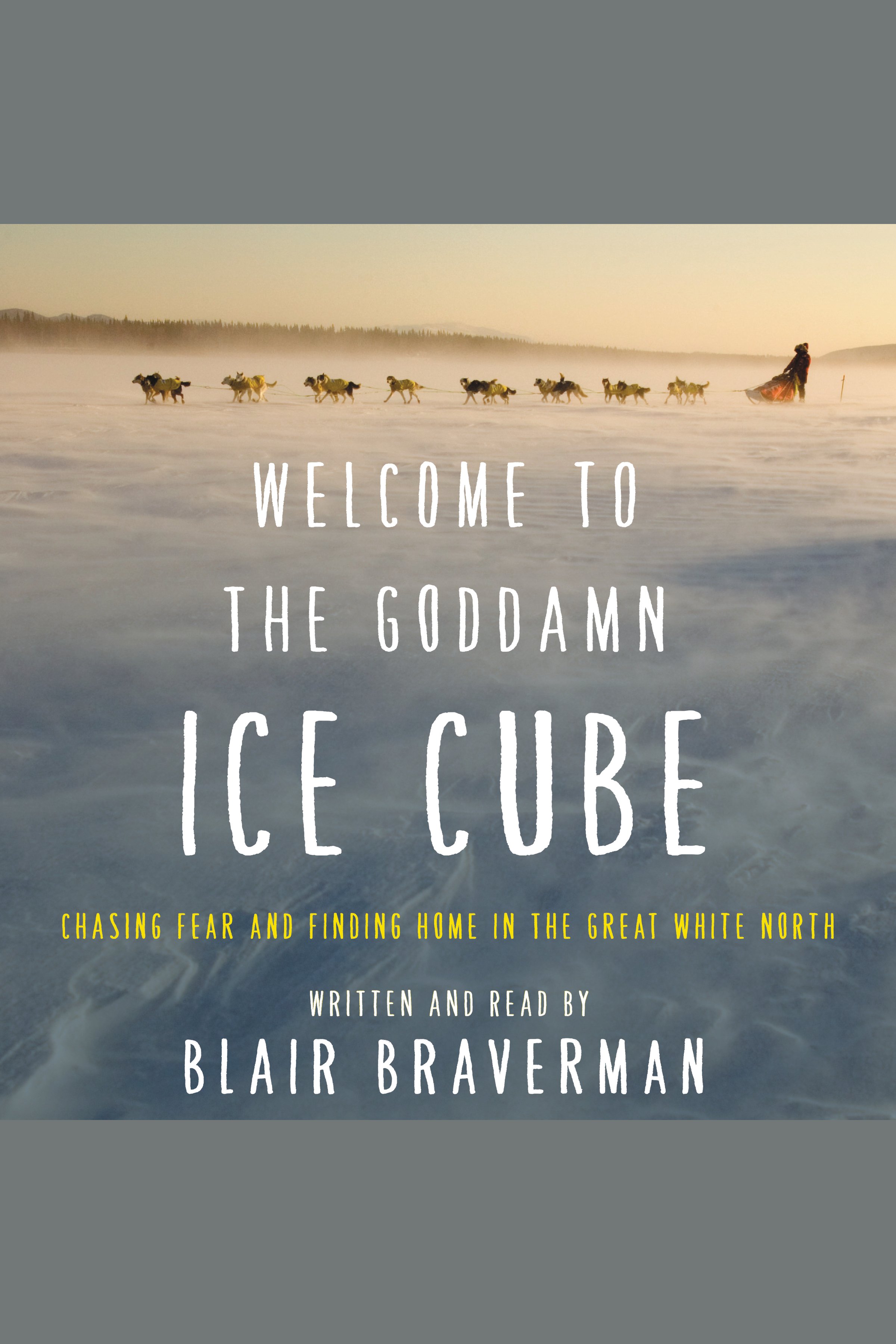 Umschlagbild für Welcome to the Goddamn Ice Cube [electronic resource] : Chasing Fear and Finding Home in the Great White North