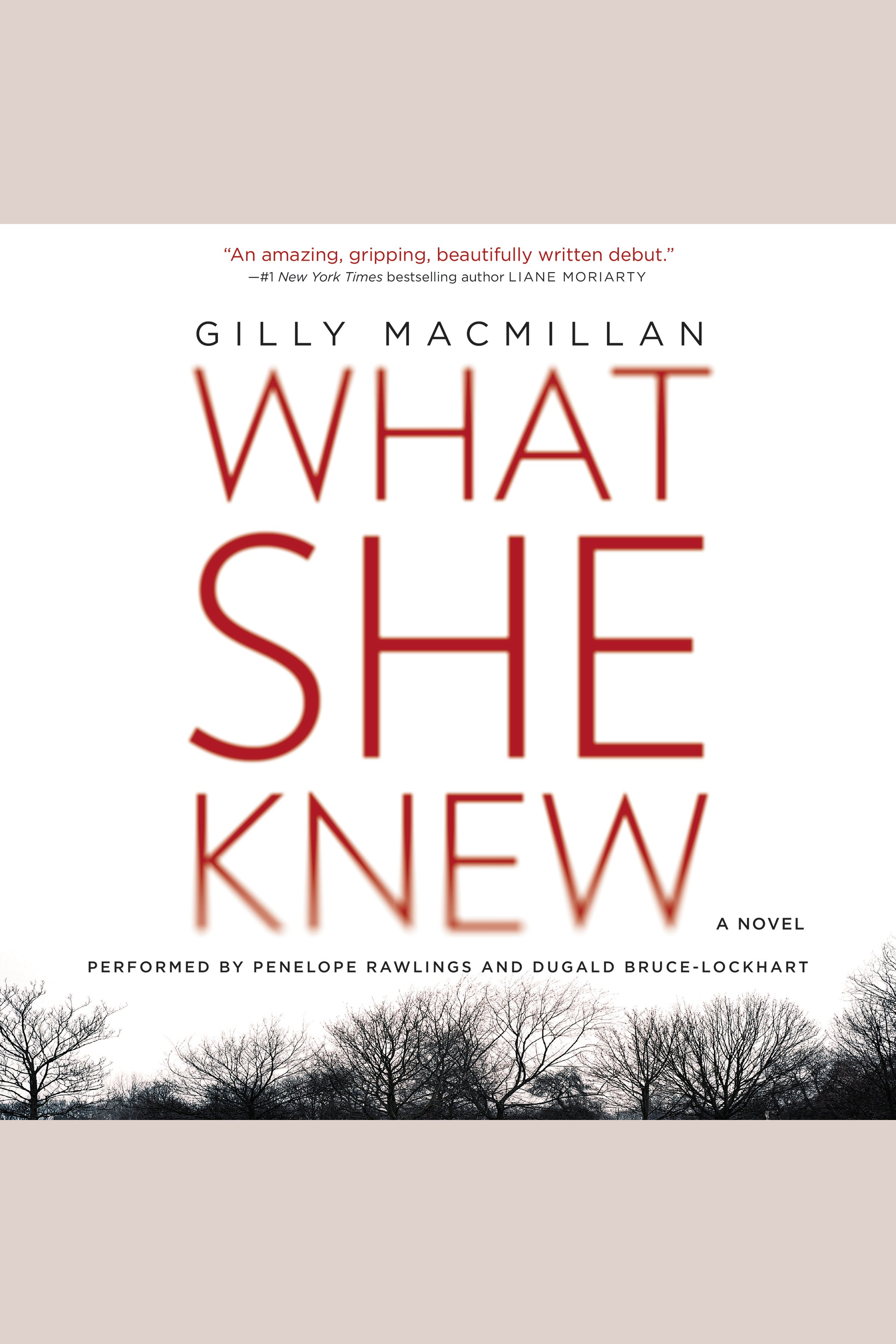 Image de couverture de What She Knew [electronic resource] : A Novel