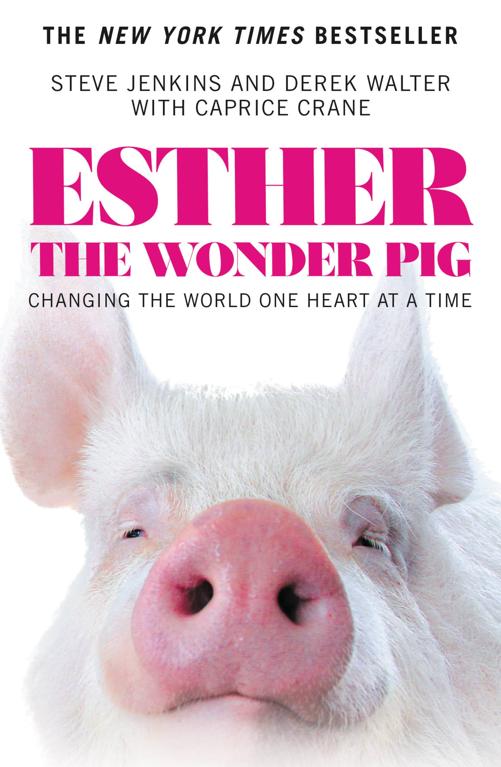Cover image for Esther the Wonder Pig [electronic resource] : Changing the World One Heart at a Time