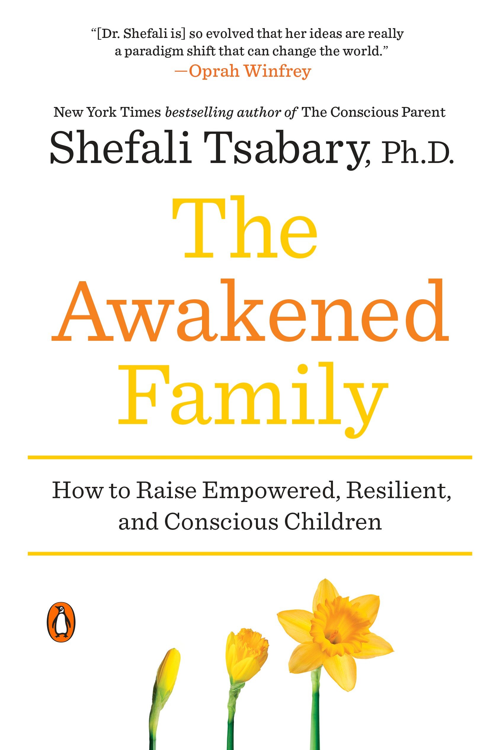 Cover image for The Awakened Family [electronic resource] : How to Raise Empowered, Resilient, and Conscious Children