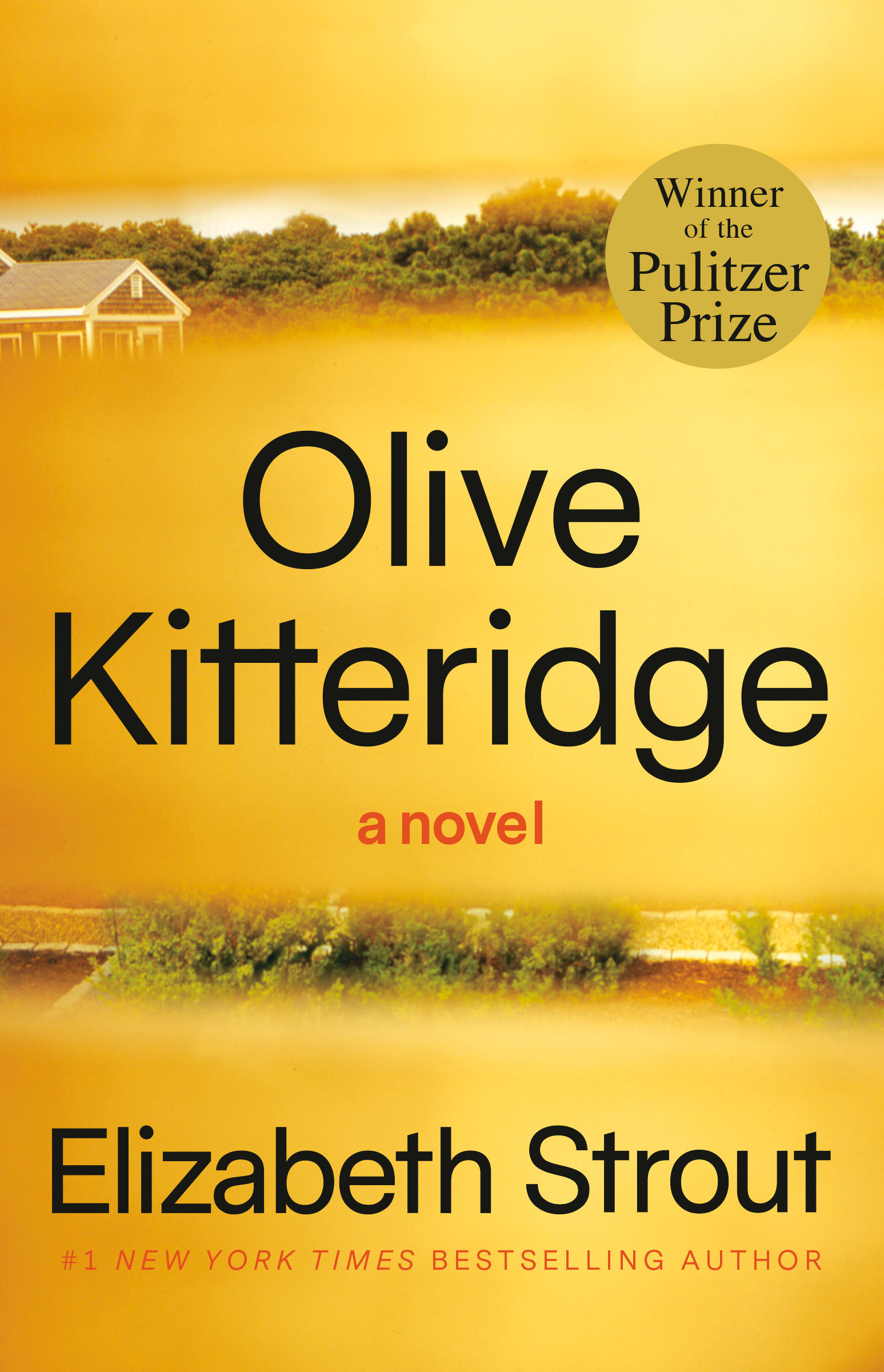Umschlagbild für Olive Kitteridge [electronic resource] : Fiction