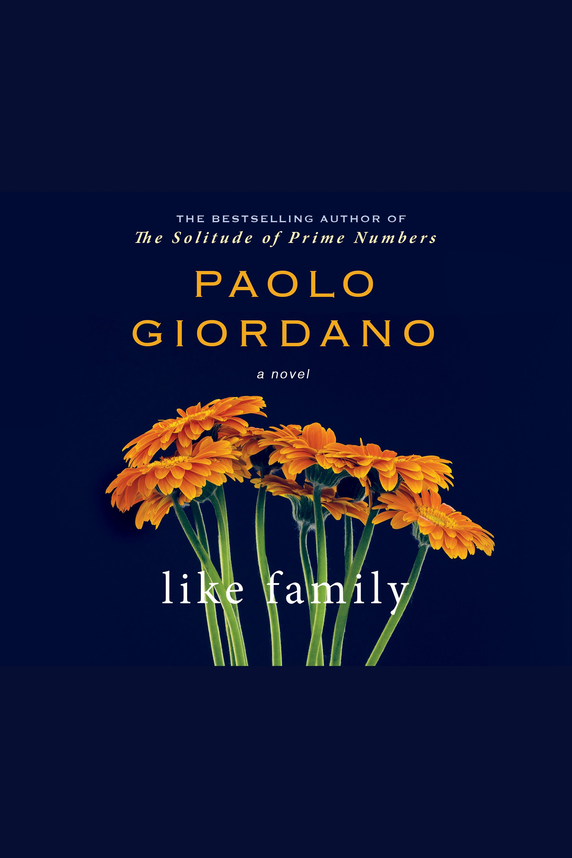 Cover image for Like Family [electronic resource] : A Novel