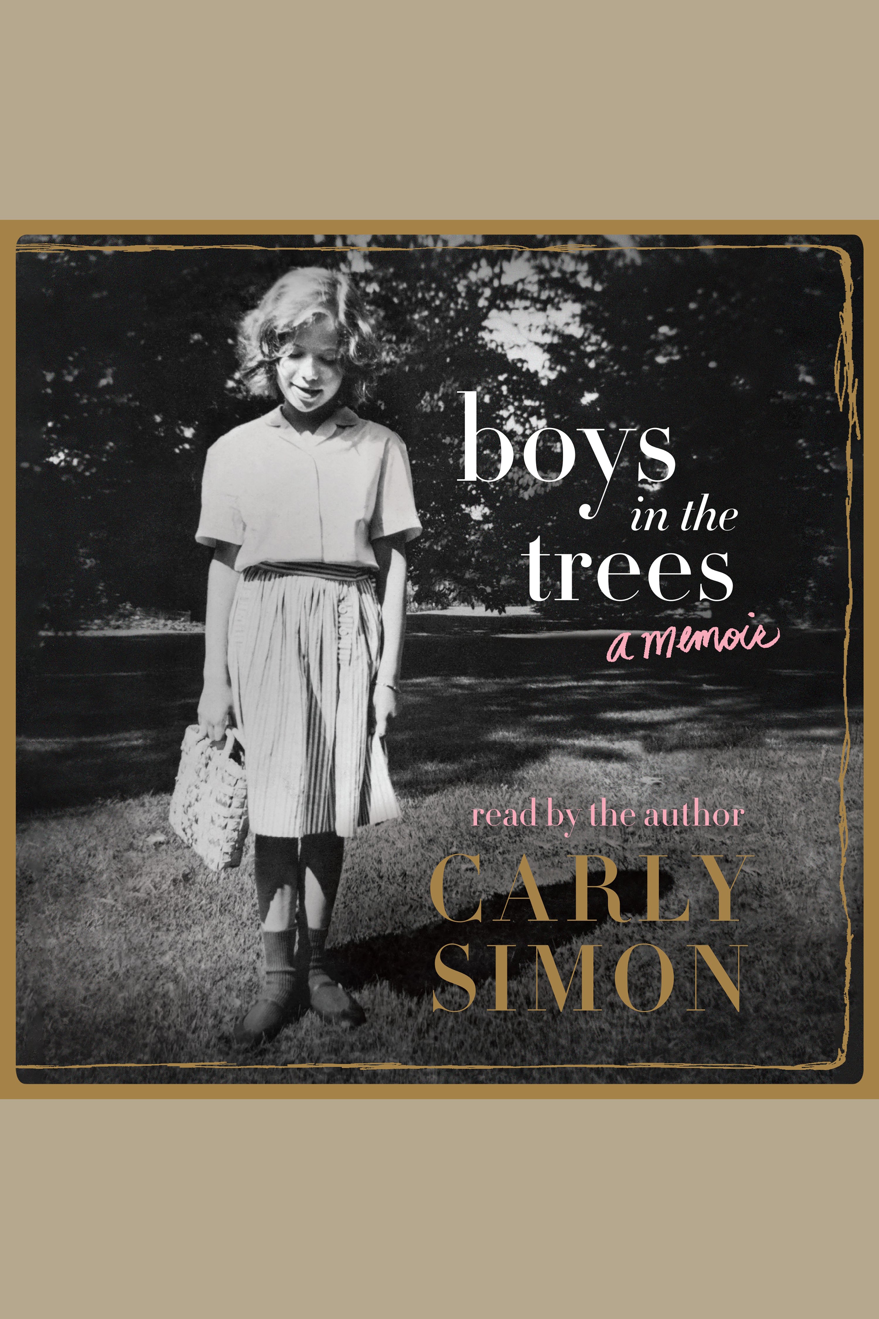 Cover image for Boys in the Trees [electronic resource] : A Memoir