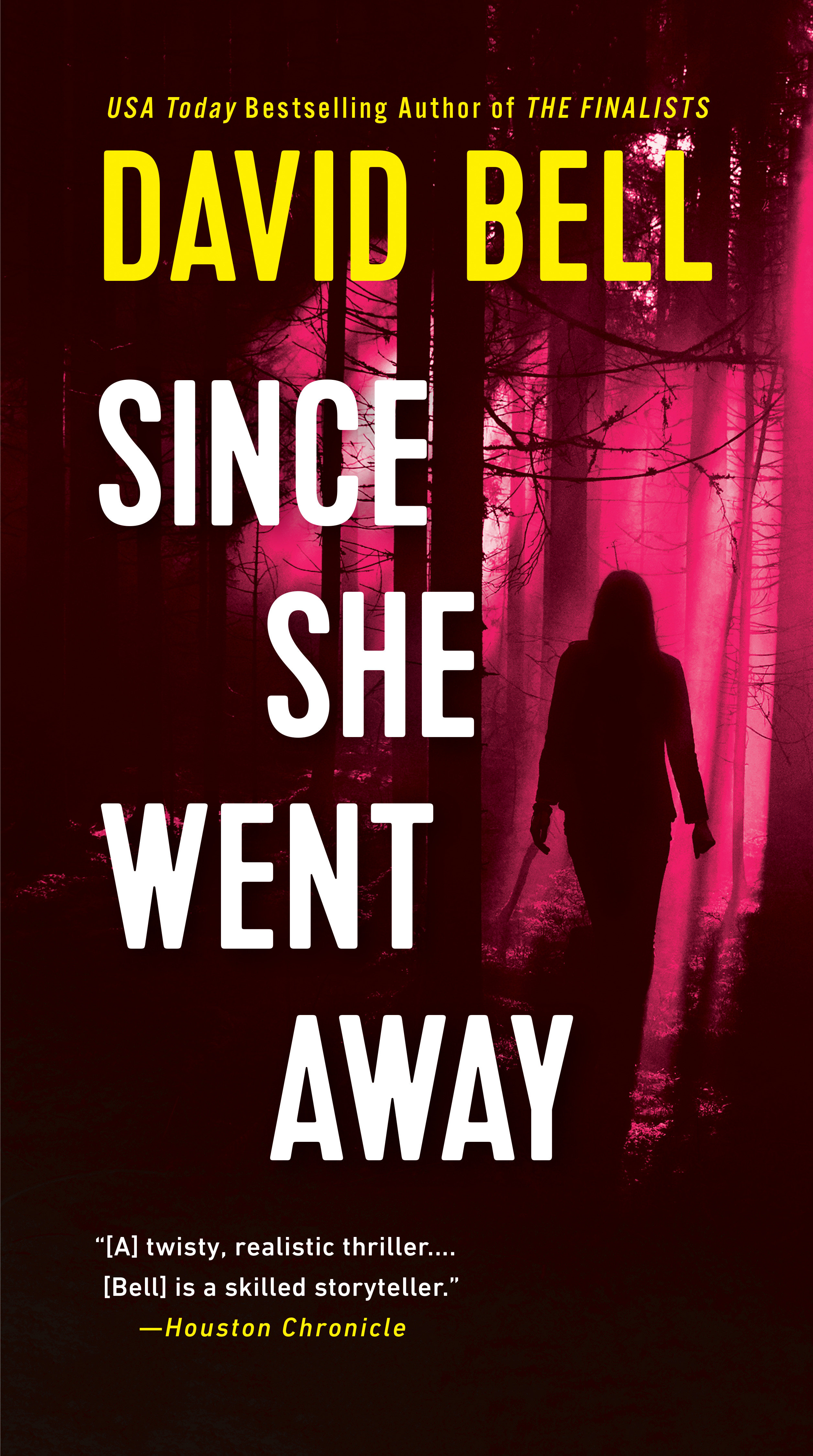Cover image for Since She Went Away [electronic resource] :