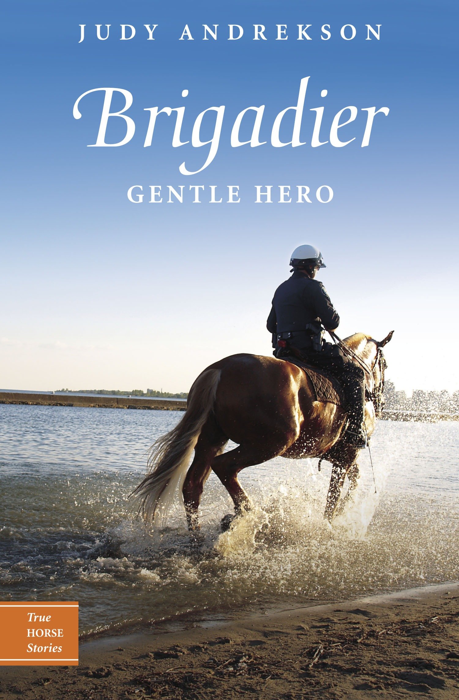 Brigadier Gentle hero cover image