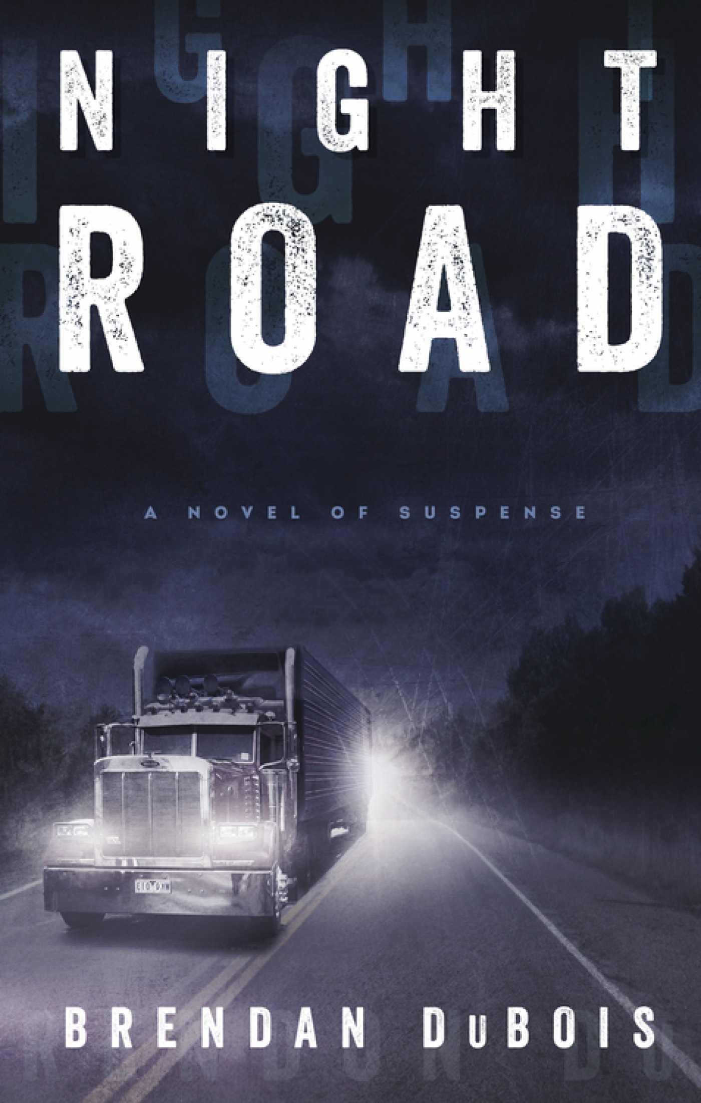 Cover image for Night Road [electronic resource] : A Novel of Suspense