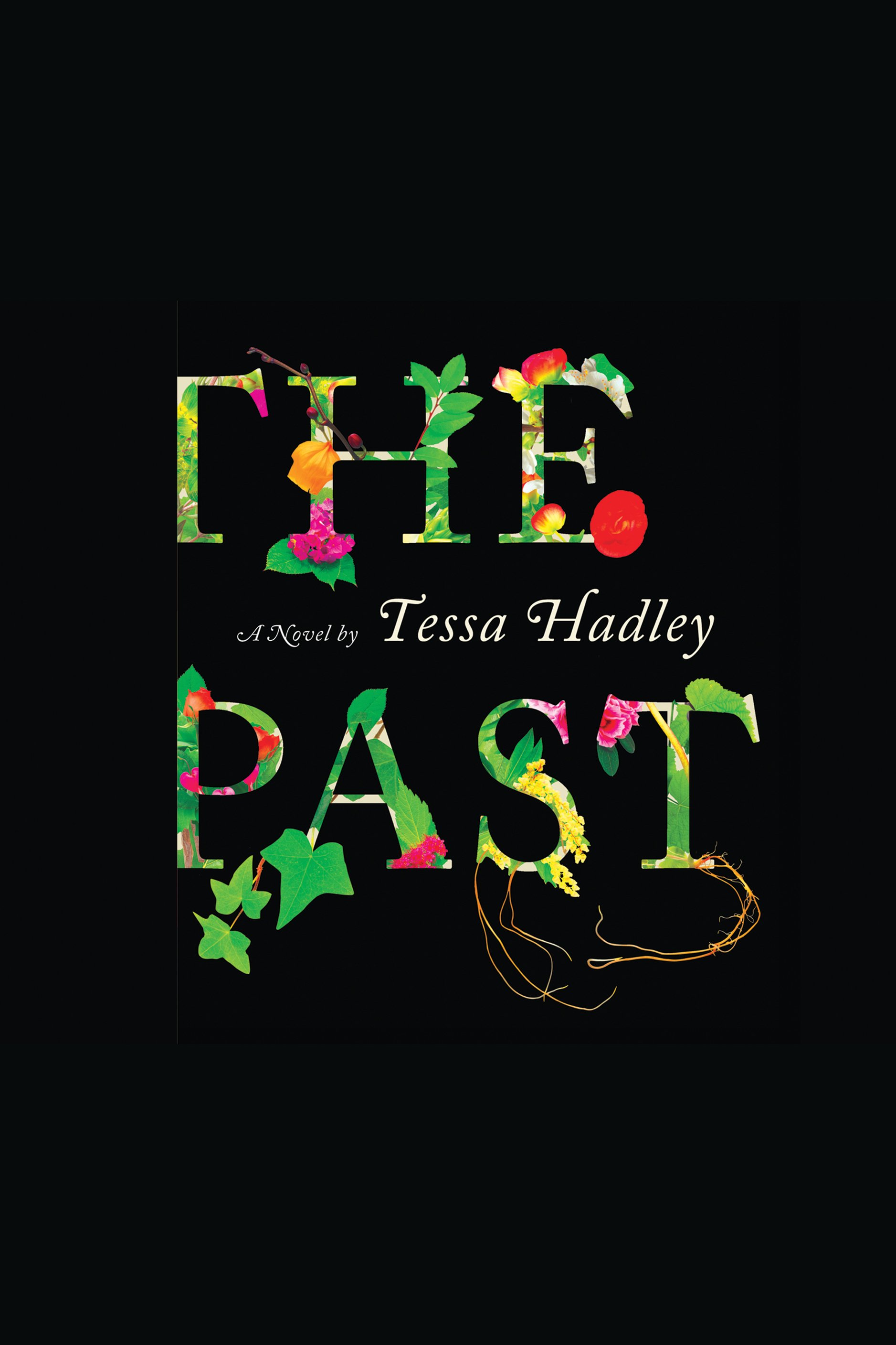 Cover image for The Past [electronic resource] :