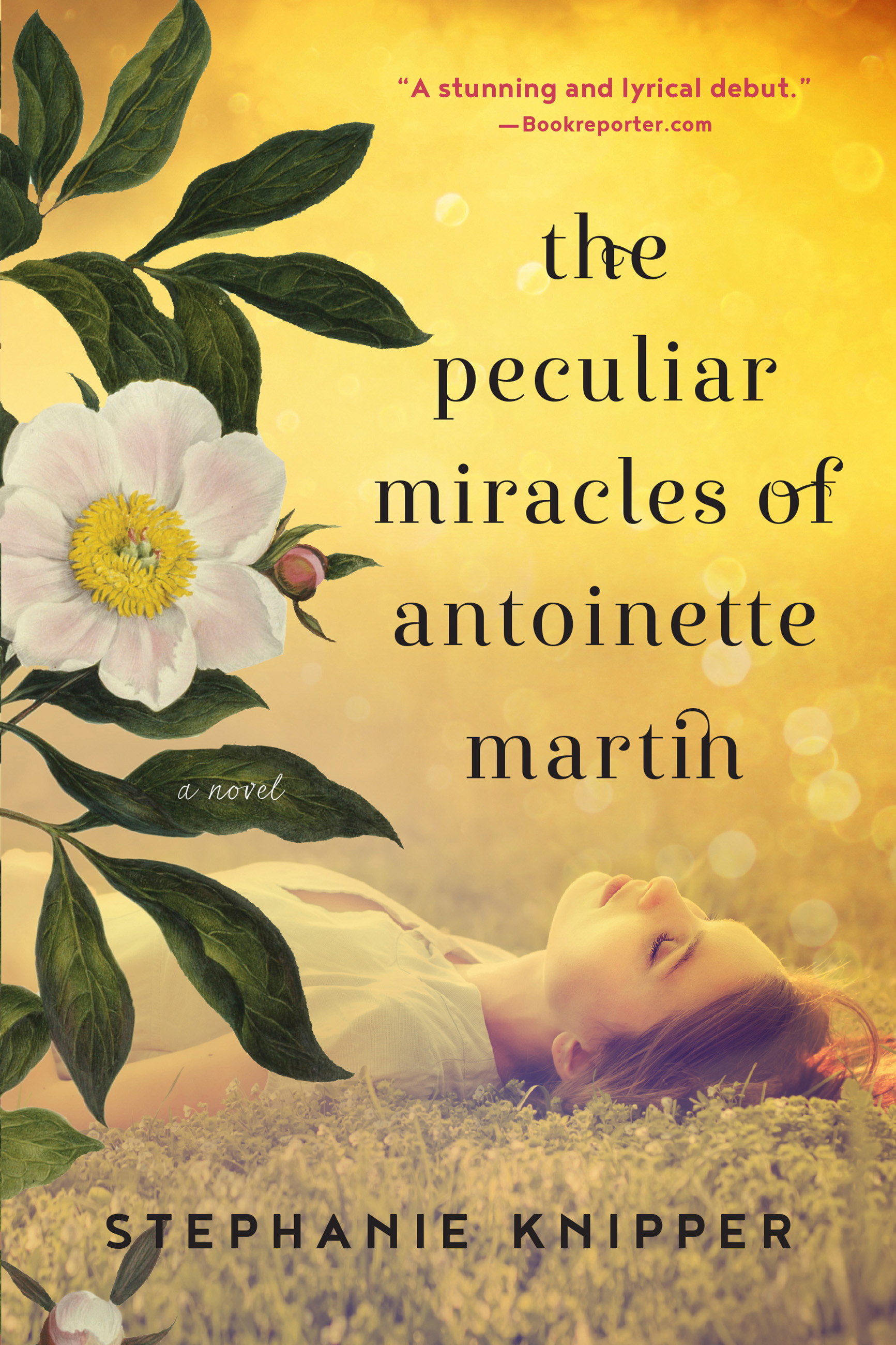 Umschlagbild für The Peculiar Miracles of Antoinette Martin [electronic resource] : A Novel