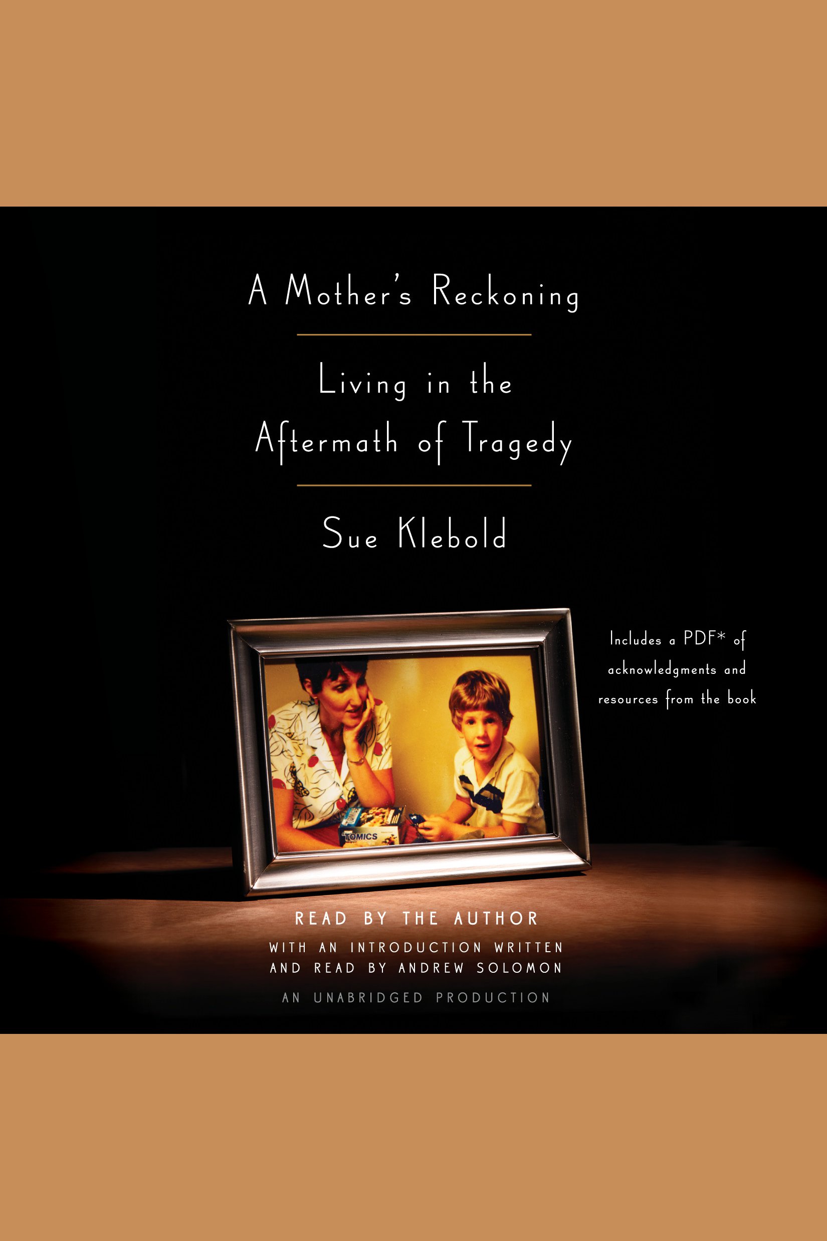 Umschlagbild für Mother's Reckoning, A [electronic resource] : Living in the Aftermath of Tragedy