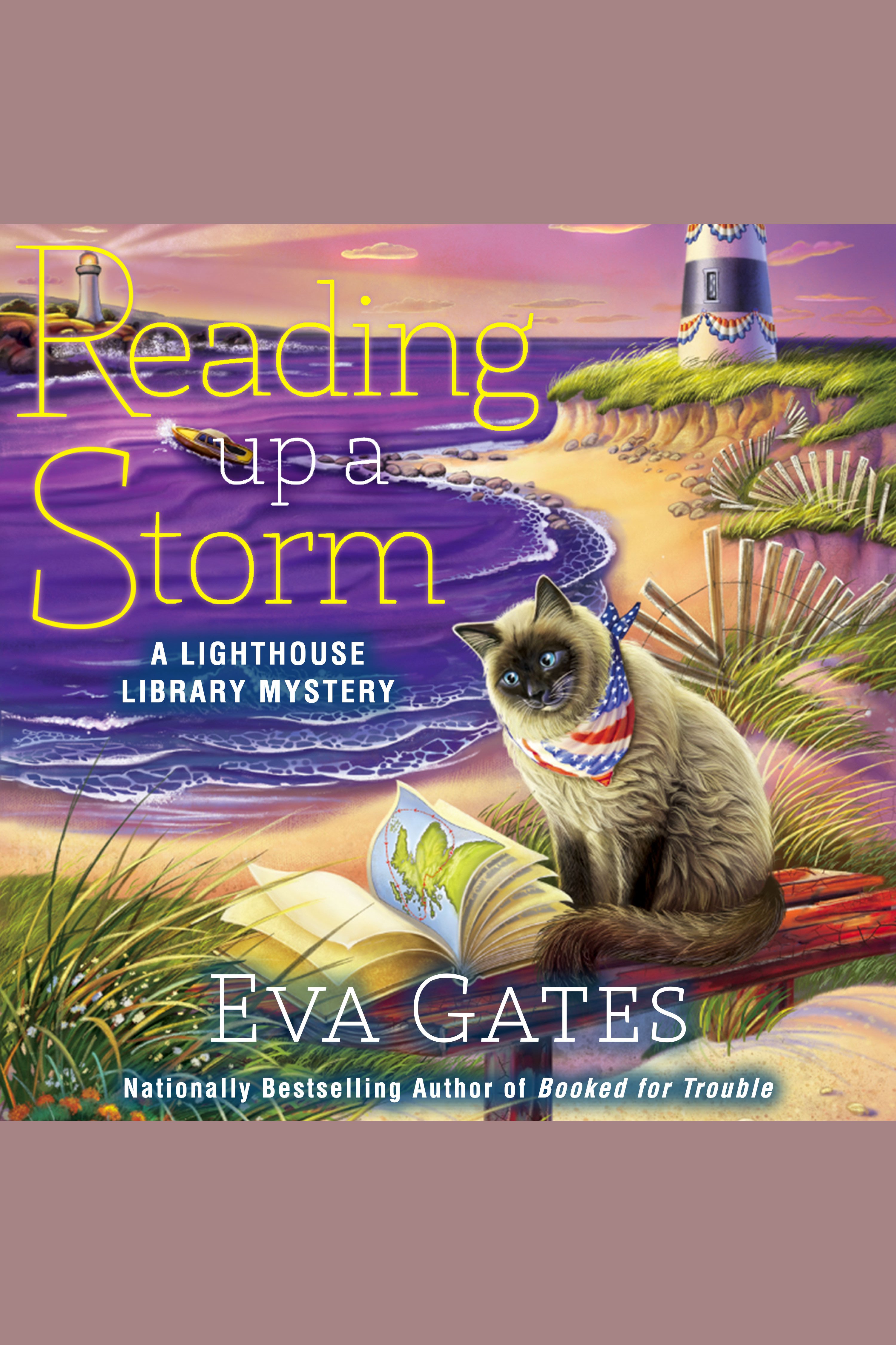 Cover image for Reading Up a Storm [electronic resource] :