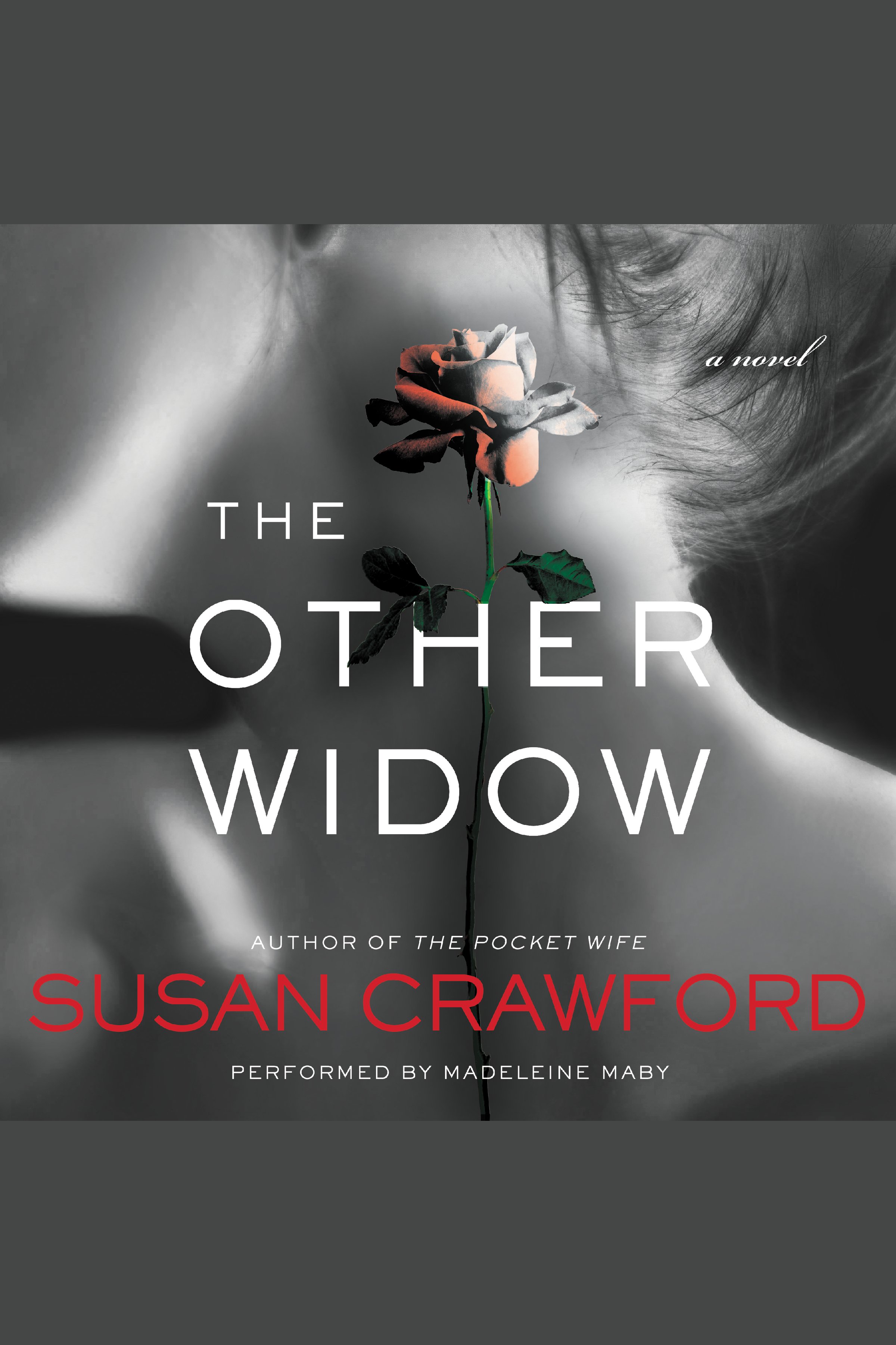 Image de couverture de The Other Widow [electronic resource] :