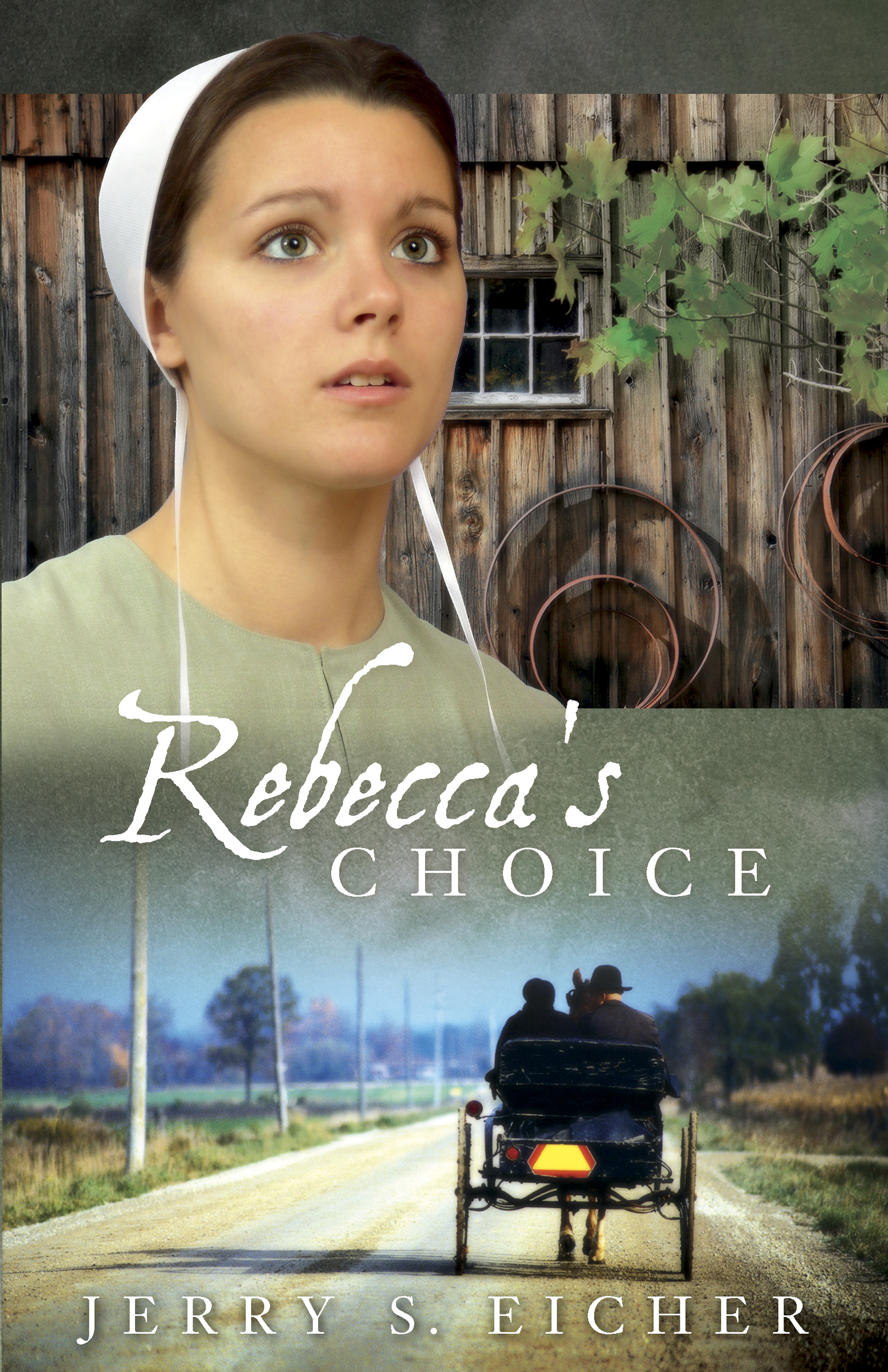 Cover image for Rebecca's Choice [electronic resource] :
