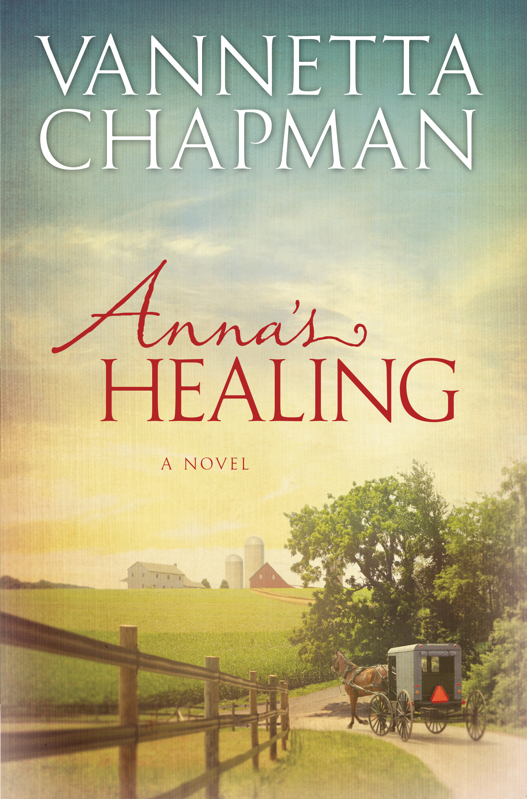 Cover image for Anna's Healing [electronic resource] :