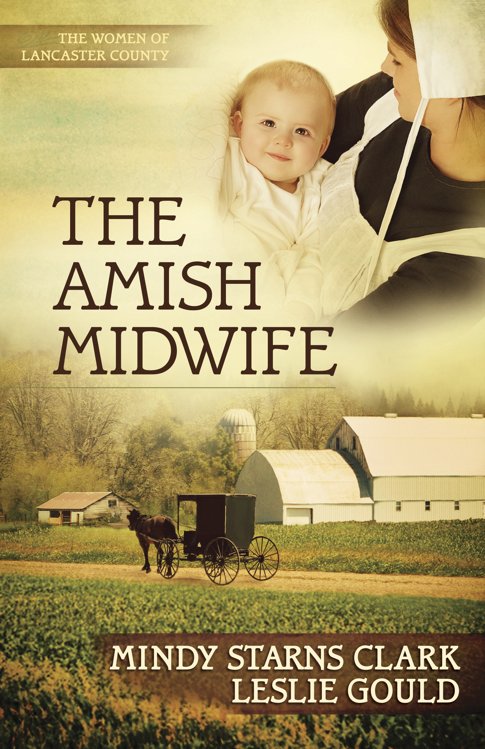 Umschlagbild für The Amish Midwife [electronic resource] :
