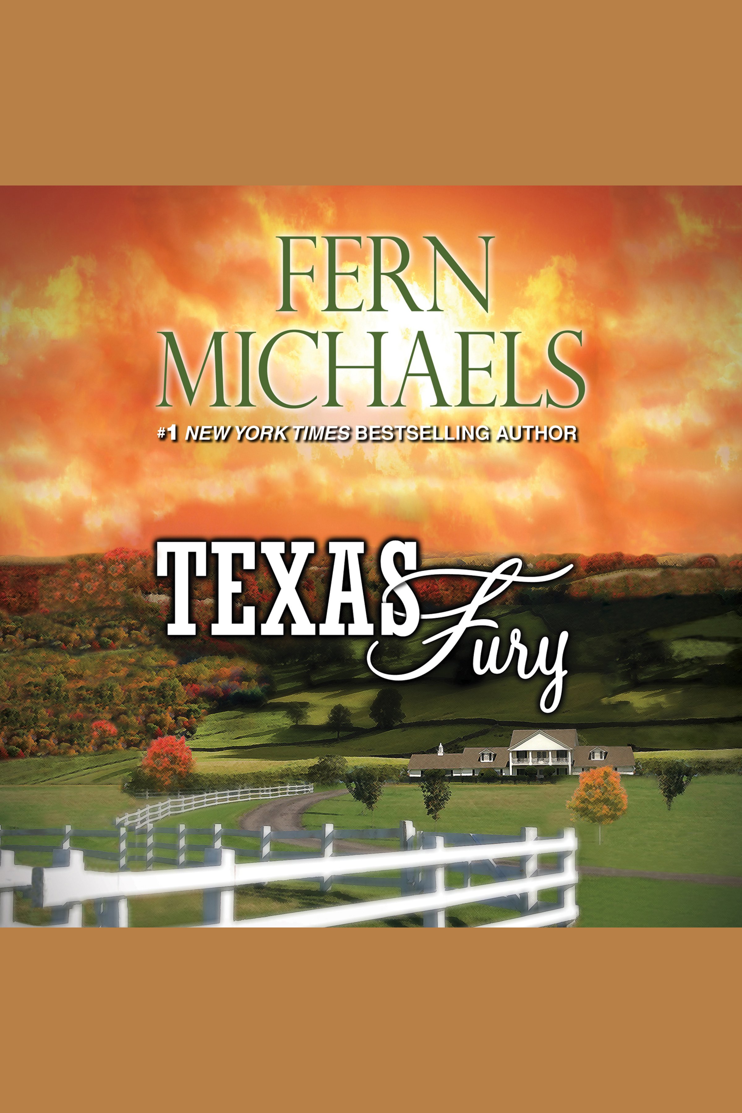 Cover image for Texas Fury [electronic resource] :